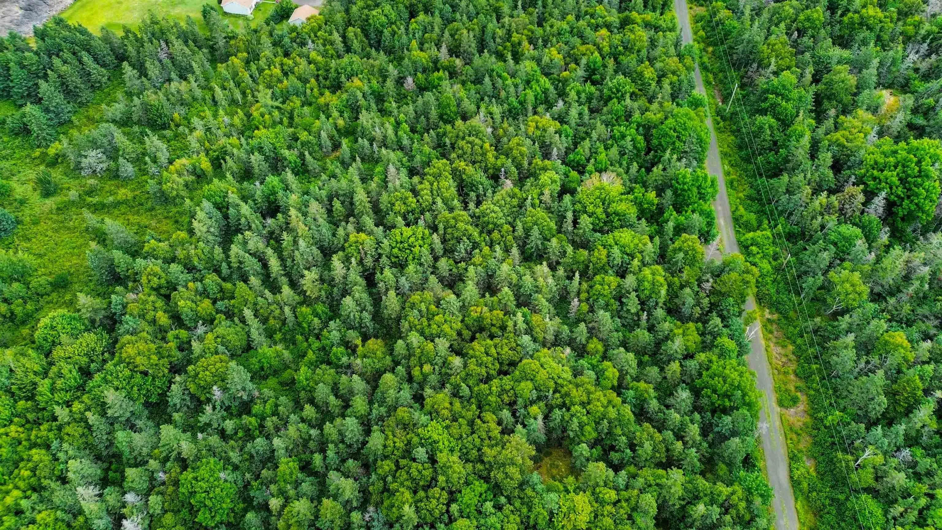 Hampton Mountain Road Lot 5, Hampton Ns B0s 1l0, ,Land,For Sale,Hampton Mountain,202403792