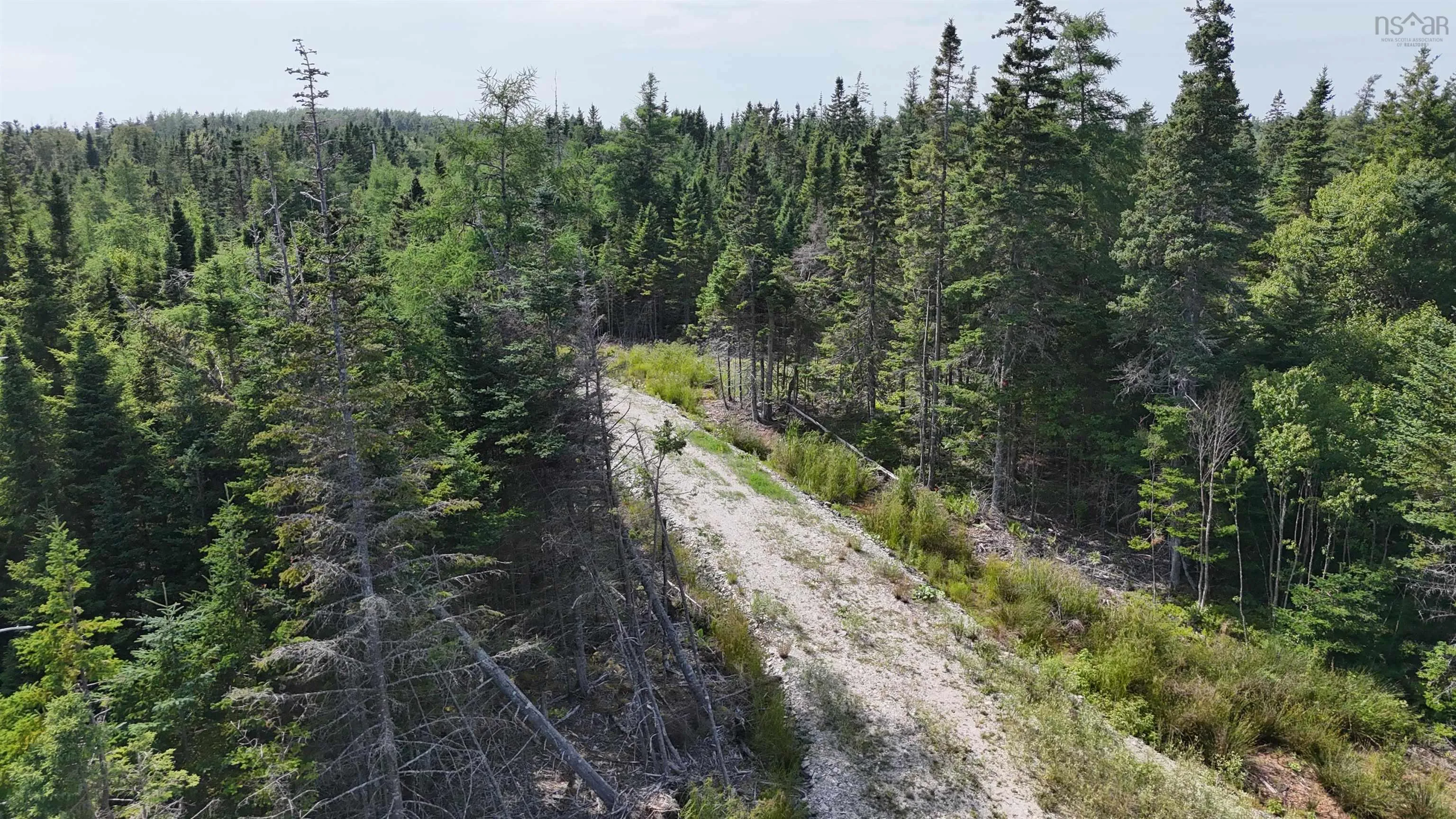 Walkerville Road, Walkerville Ns B0e 2j0, ,Land,For Sale,Walkerville,202501875