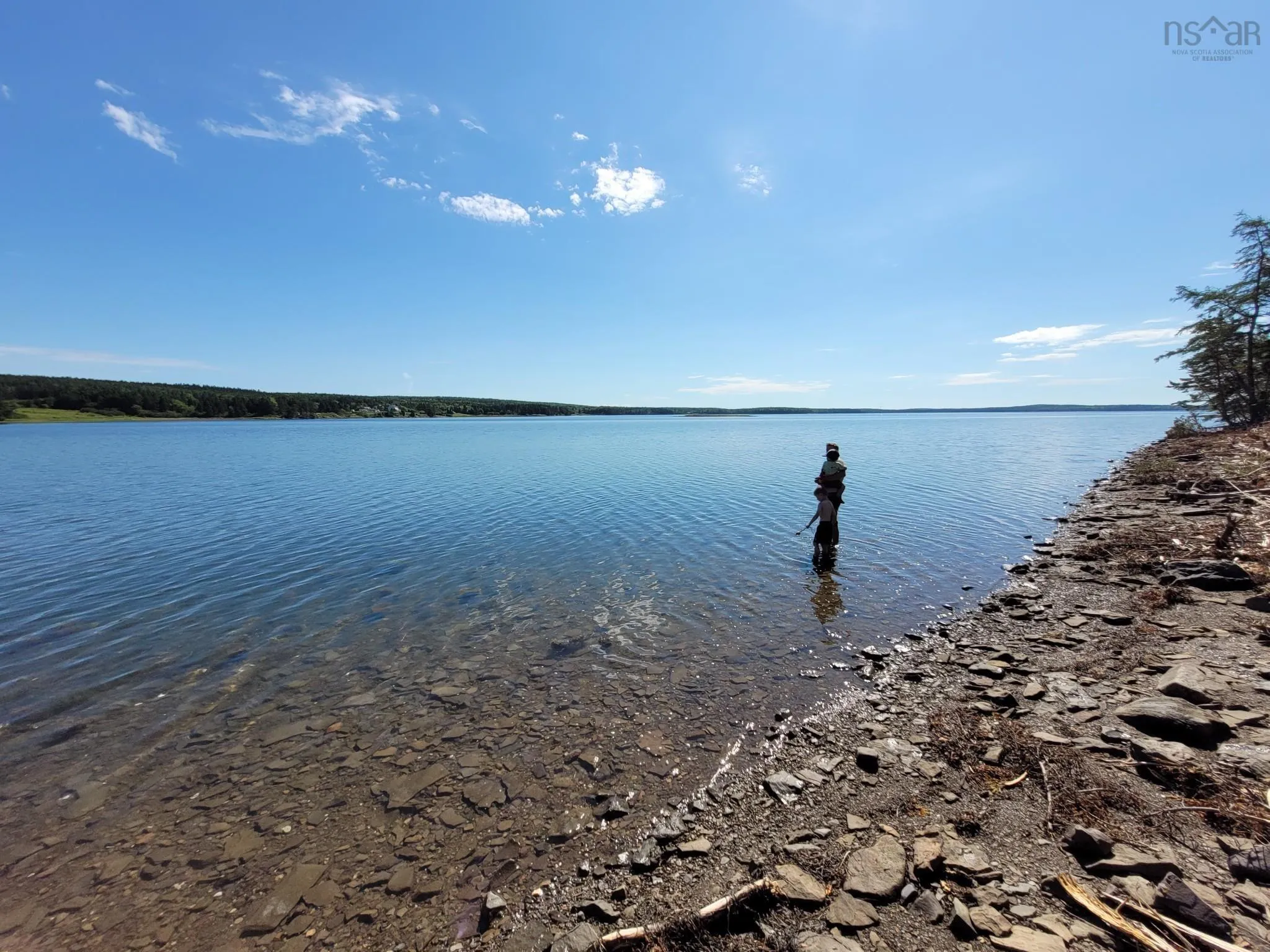 Walkerville Road, Walkerville Ns B0e 2j0, ,Land,For Sale,Walkerville,202501875