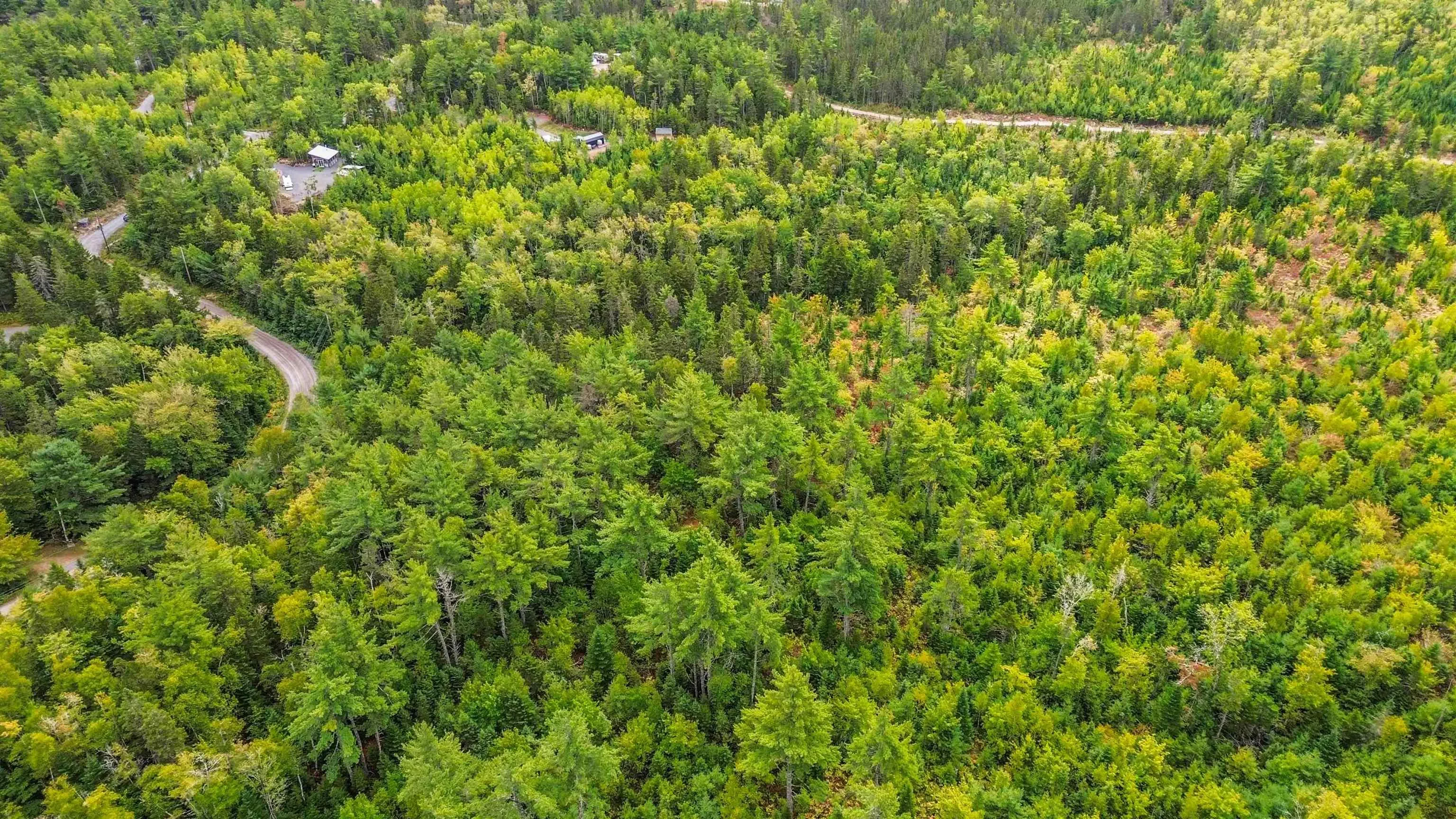 Spruce Drive Lot 3, Aylesford Lake, NS B4N 3V8, ,Land,For Sale,Spruce,202524445