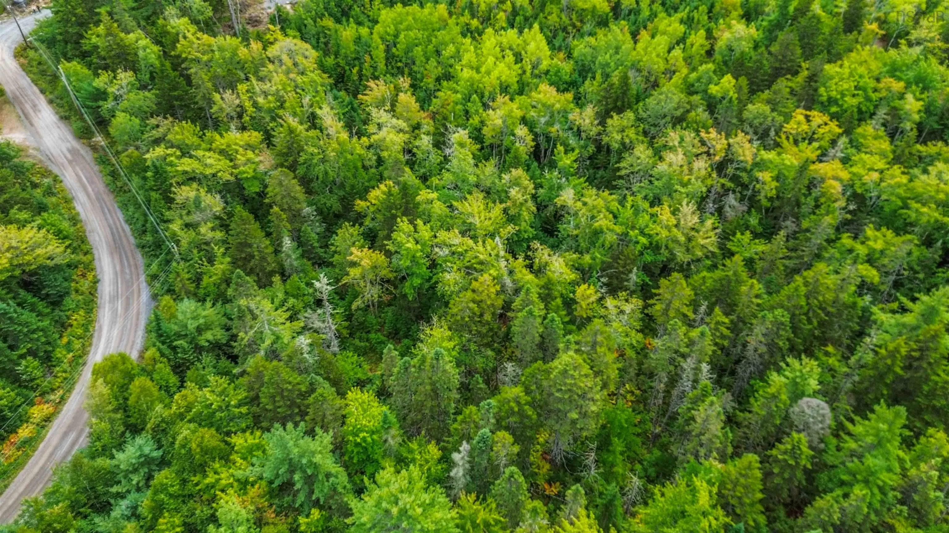 Spruce Drive Lot 3, Aylesford Lake, NS B4N 3V8, ,Land,For Sale,Spruce,202524445