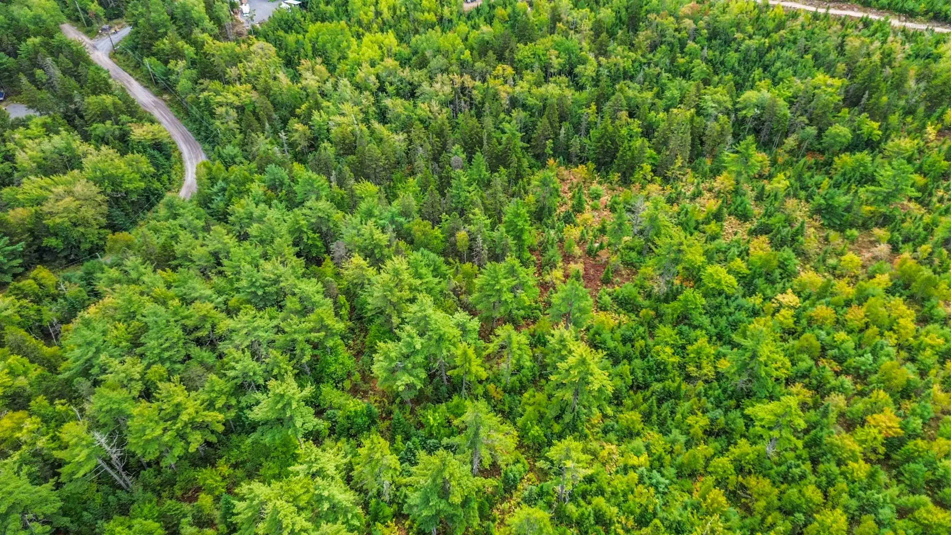 Spruce Drive Lot 3, Aylesford Lake, NS B4N 3V8, ,Land,For Sale,Spruce,202524445