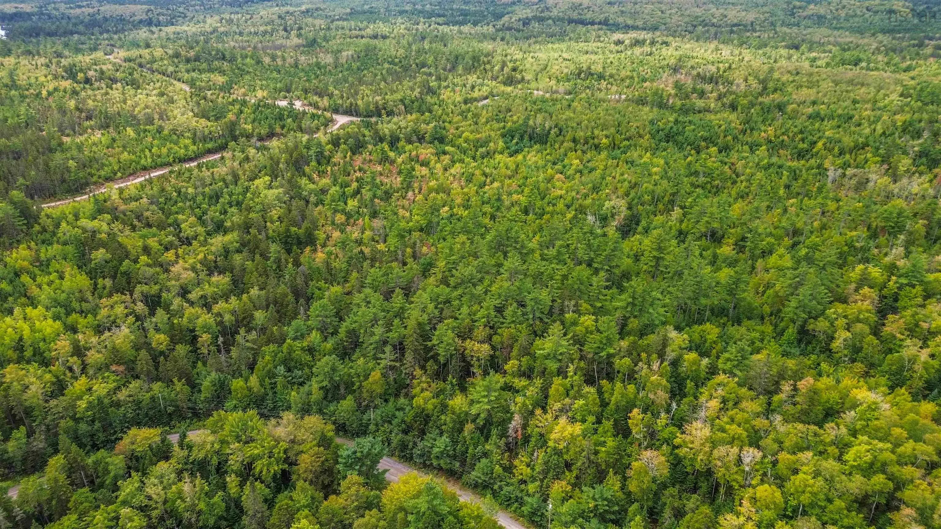 Spruce Drive Lot 3, Aylesford Lake, NS B4N 3V8, ,Land,For Sale,Spruce,202524445
