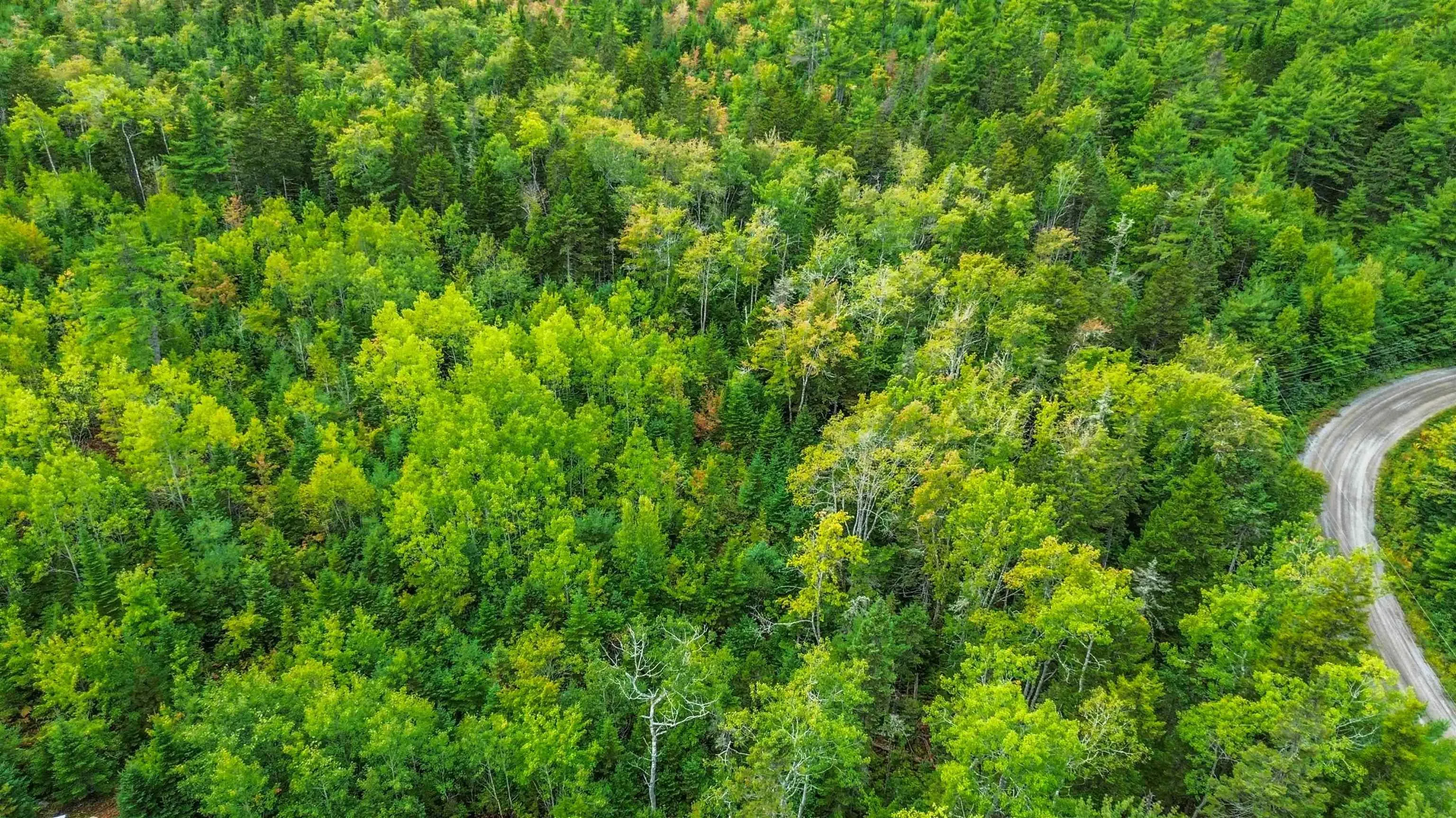 Spruce Drive Lot 3, Aylesford Lake, NS B4N 3V8, ,Land,For Sale,Spruce,202524445