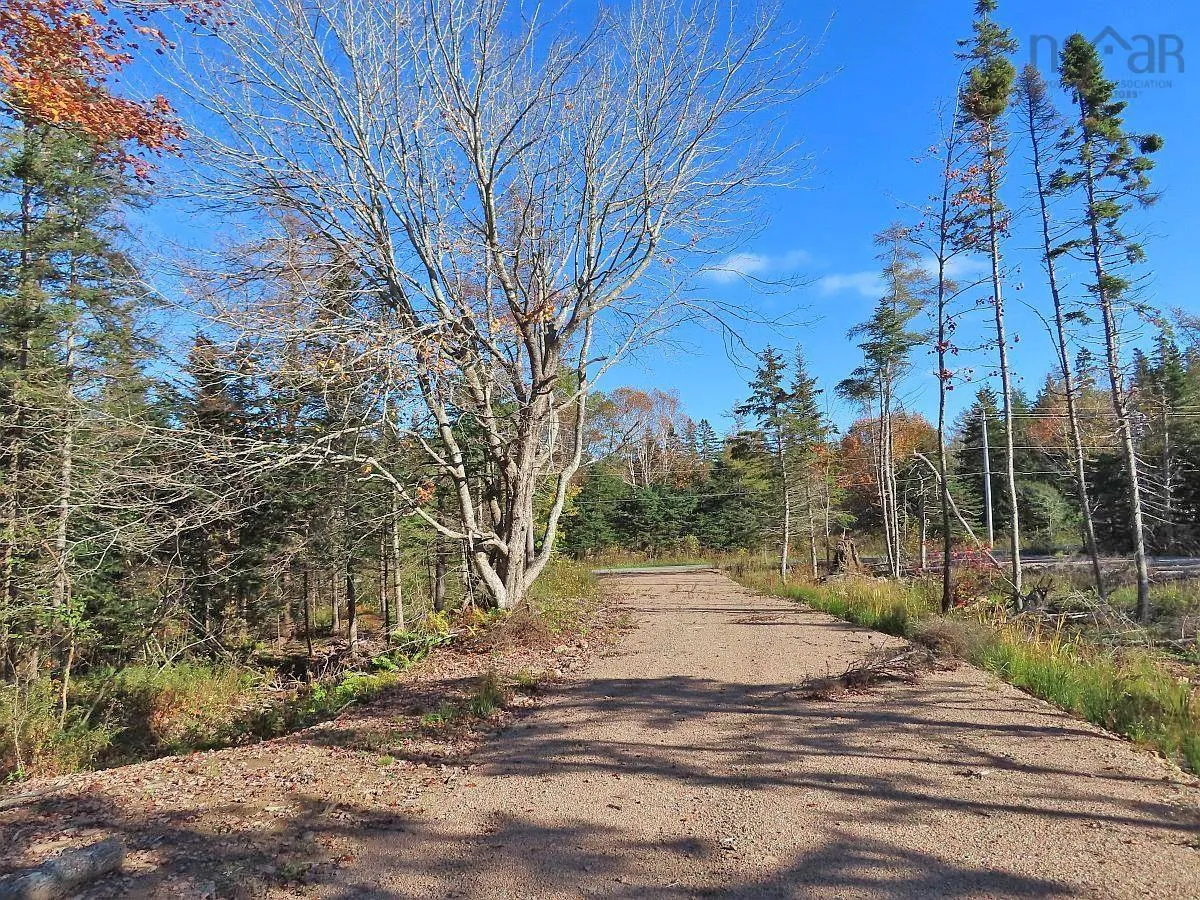 Lot 8 #4 Highway (lower River Road) Road, Cleveland Ns B0e 1j0, ,Land,For Sale,#4 Highway (Lower River Road),202407519