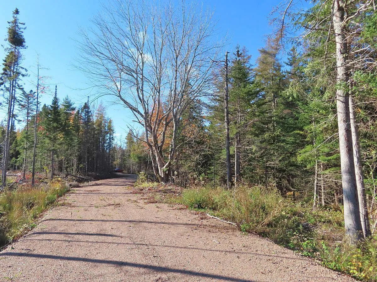 Lot 8 #4 Highway (lower River Road) Road, Cleveland Ns B0e 1j0, ,Land,For Sale,#4 Highway (Lower River Road),202407519