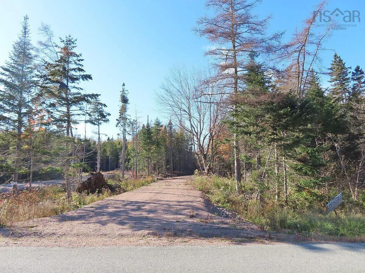 Lot 8 #4 Highway (lower River Road) Road, Cleveland Ns B0e 1j0, ,Land,For Sale,#4 Highway (Lower River Road),202407519