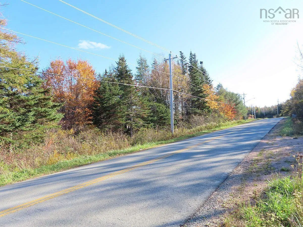 Lot 8 #4 Highway (lower River Road) Road, Cleveland Ns B0e 1j0, ,Land,For Sale,#4 Highway (Lower River Road),202407519