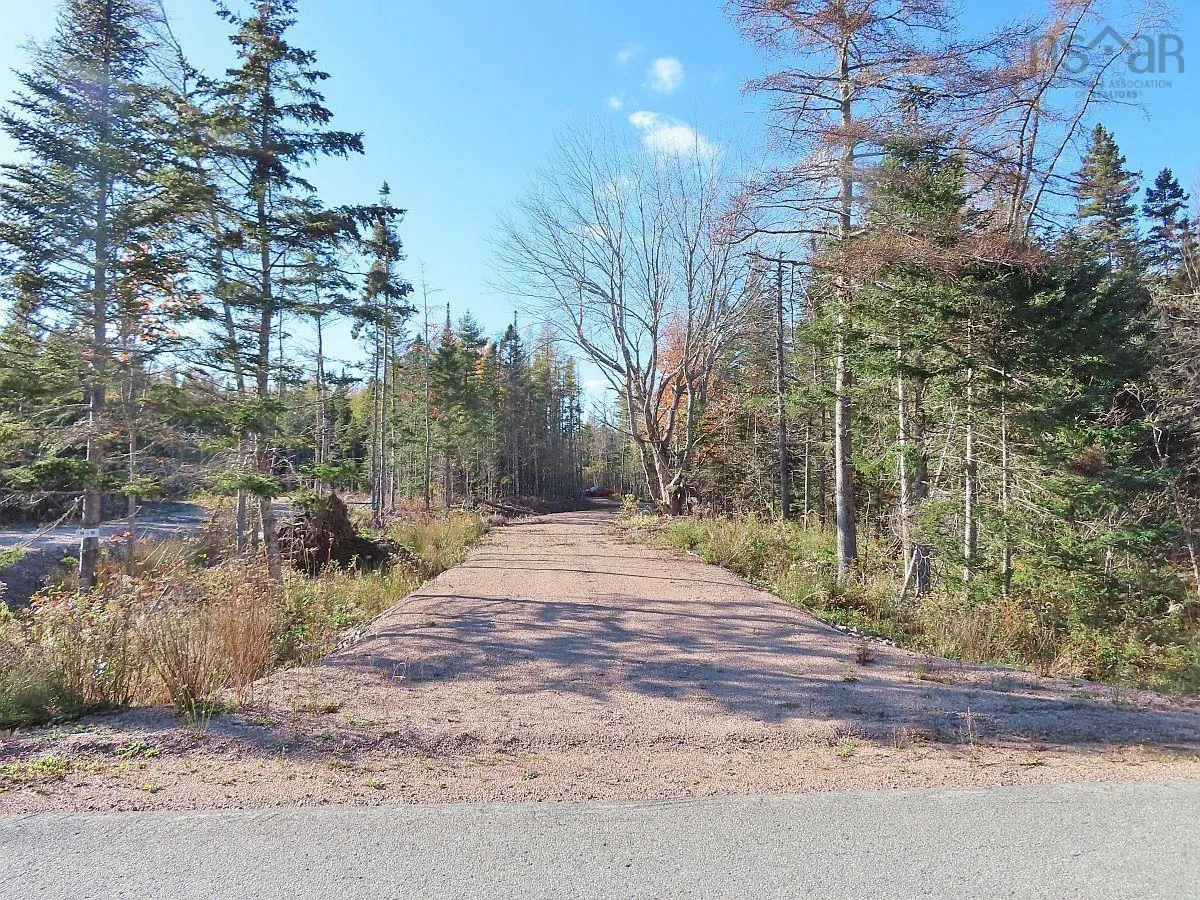 Lot 8 #4 Highway (lower River Road) Road, Cleveland Ns B0e 1j0, ,Land,For Sale,#4 Highway (Lower River Road),202407519