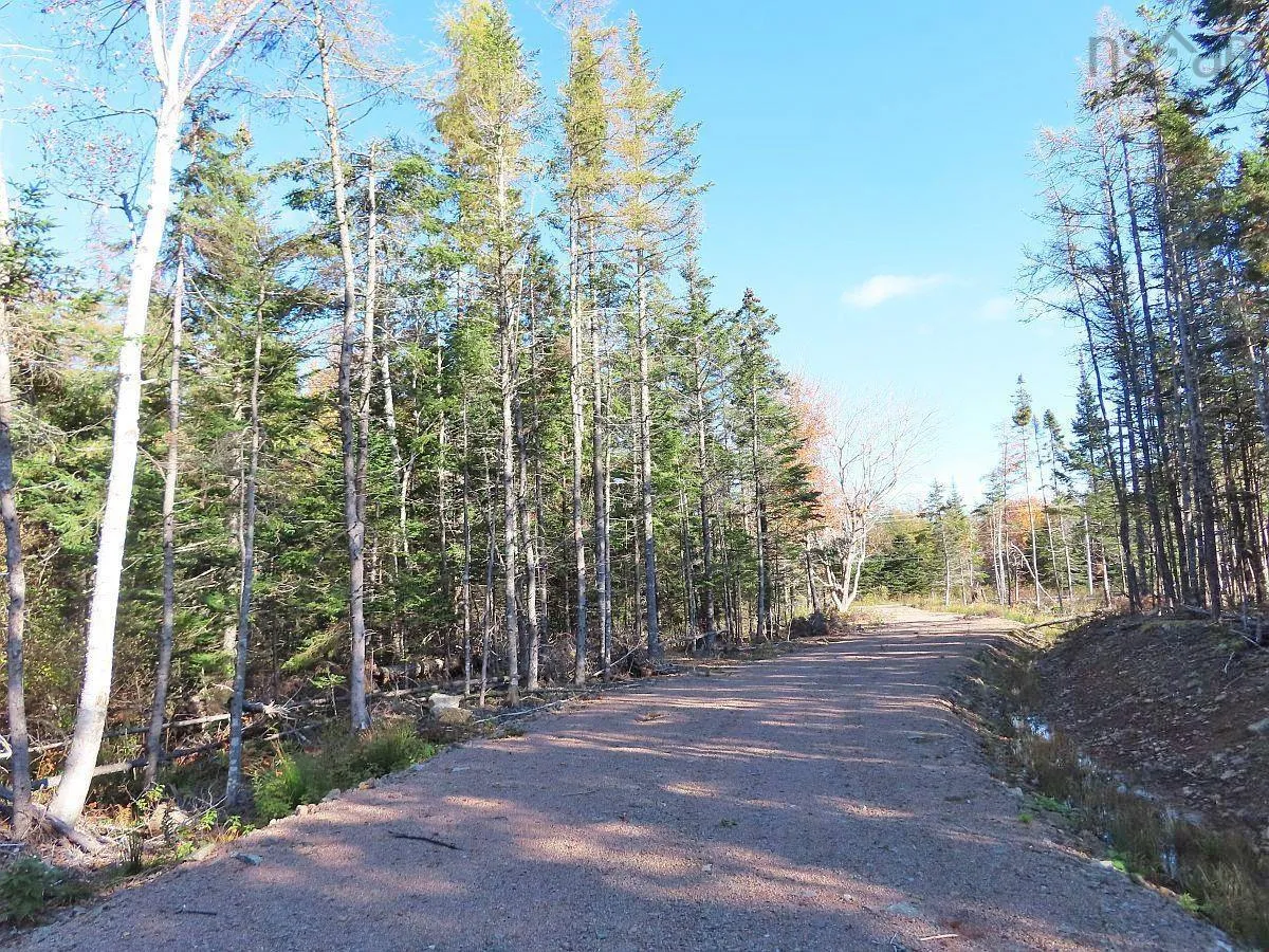 Lot 8 #4 Highway (lower River Road) Road, Cleveland Ns B0e 1j0, ,Land,For Sale,#4 Highway (Lower River Road),202407519