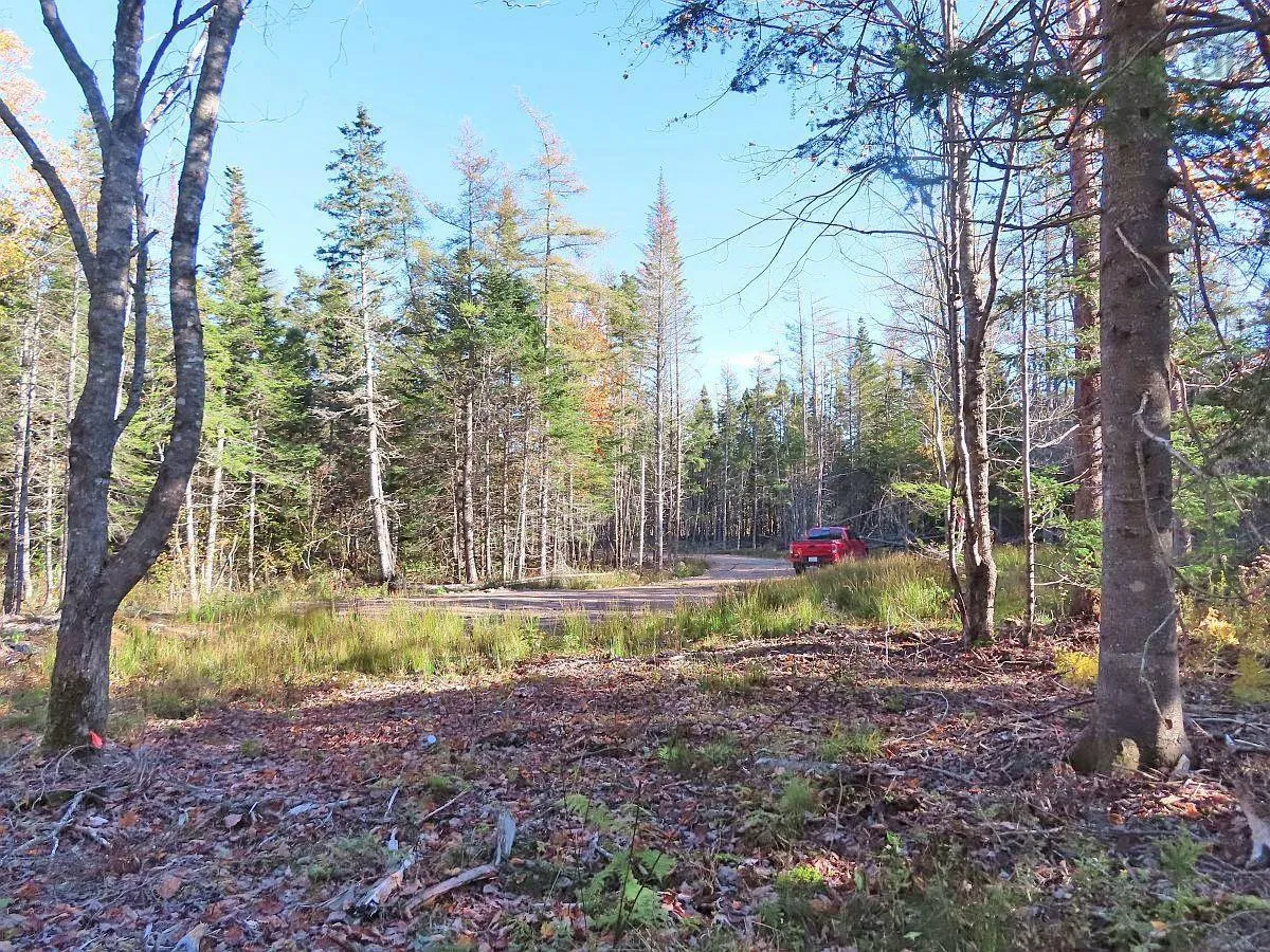Lot 8 #4 Highway (lower River Road) Road, Cleveland Ns B0e 1j0, ,Land,For Sale,#4 Highway (Lower River Road),202407519