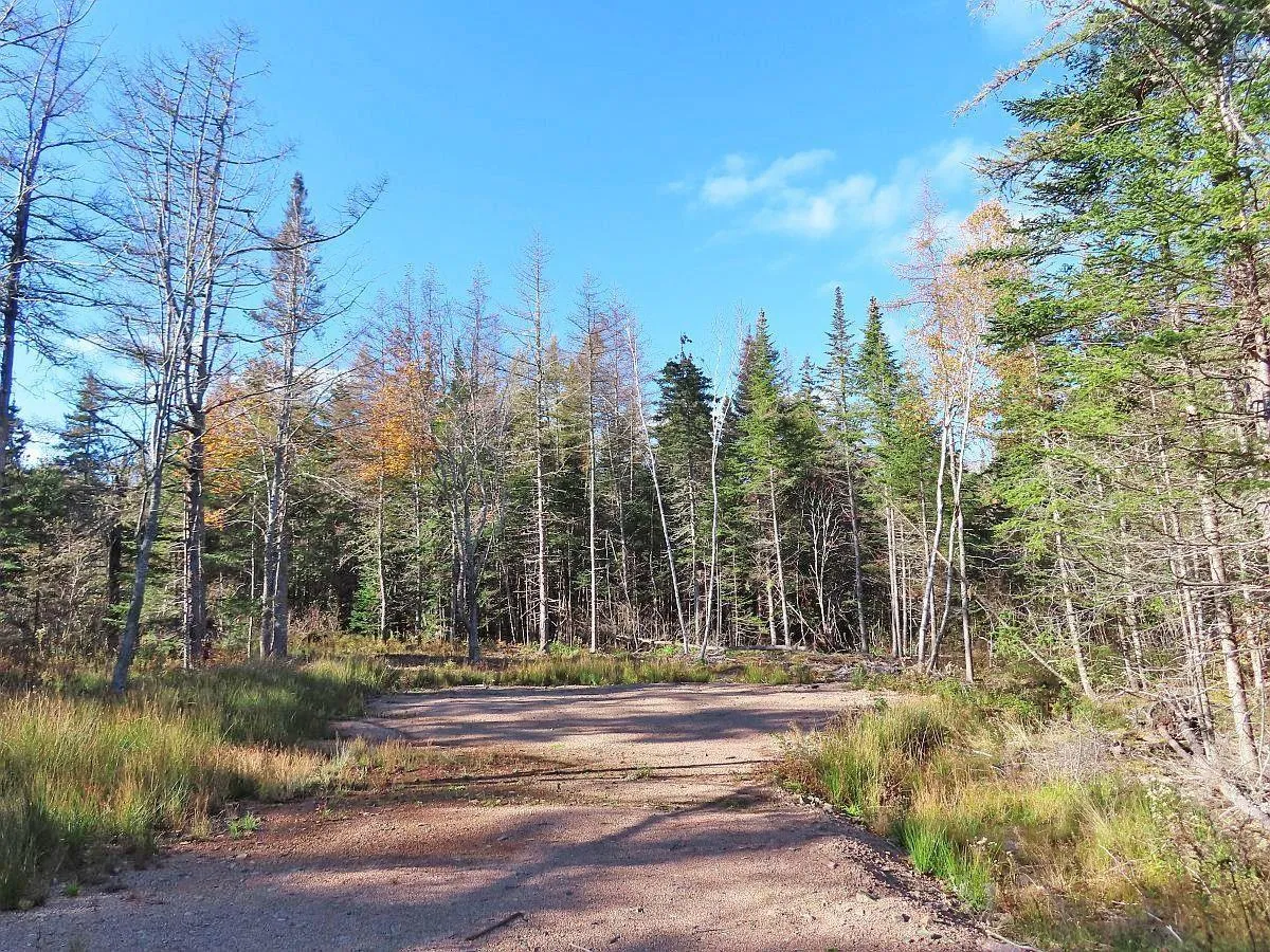 Lot 8 #4 Highway (lower River Road) Road, Cleveland Ns B0e 1j0, ,Land,For Sale,#4 Highway (Lower River Road),202407519