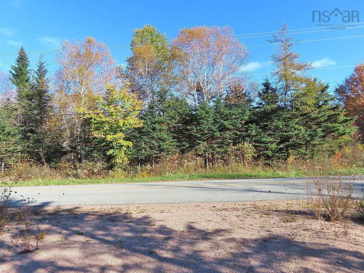 Lot 8 #4 Highway (lower River Road) Road, Cleveland Ns B0e 1j0, ,Land,For Sale,#4 Highway (Lower River Road),202407519