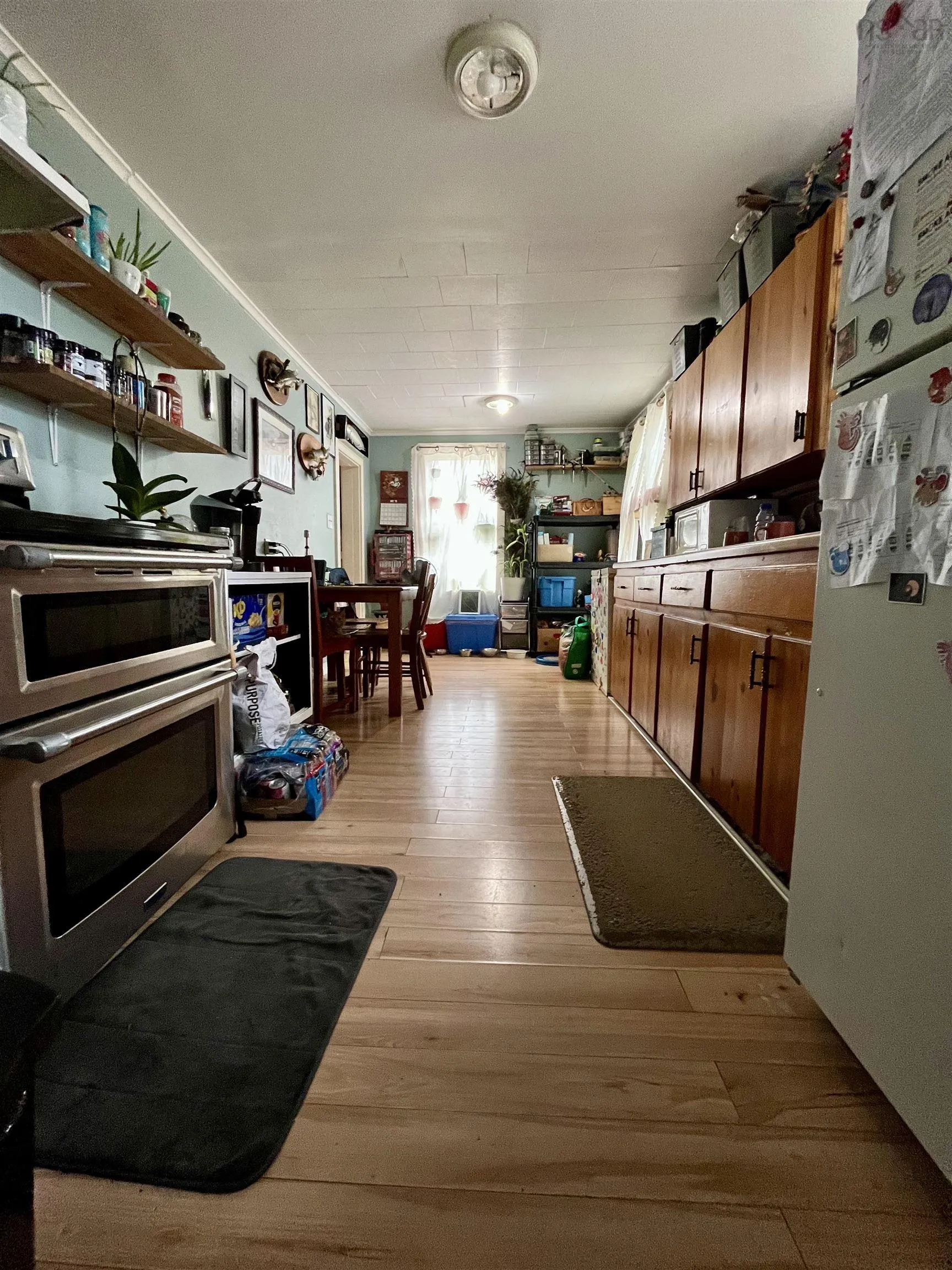 1252 River Road, Bear River, NS B0S 1G0, 3 Bedrooms Bedrooms, ,Residential Income,For Sale,River,202513282