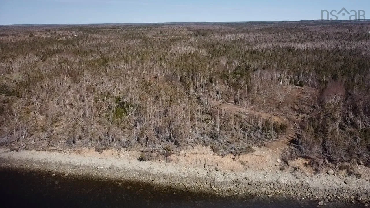 0 No. 255 Highway, Round Island, NS B1P 1P4, ,Land,For Sale,255,202517499