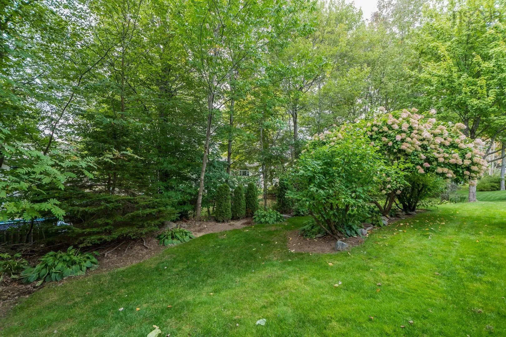 10 Parkvale Crescent, Bedford, NS B4A 3M3, 5 Bedrooms Bedrooms, ,3 BathroomsBathrooms,Residential,For Sale,Parkvale,202524442