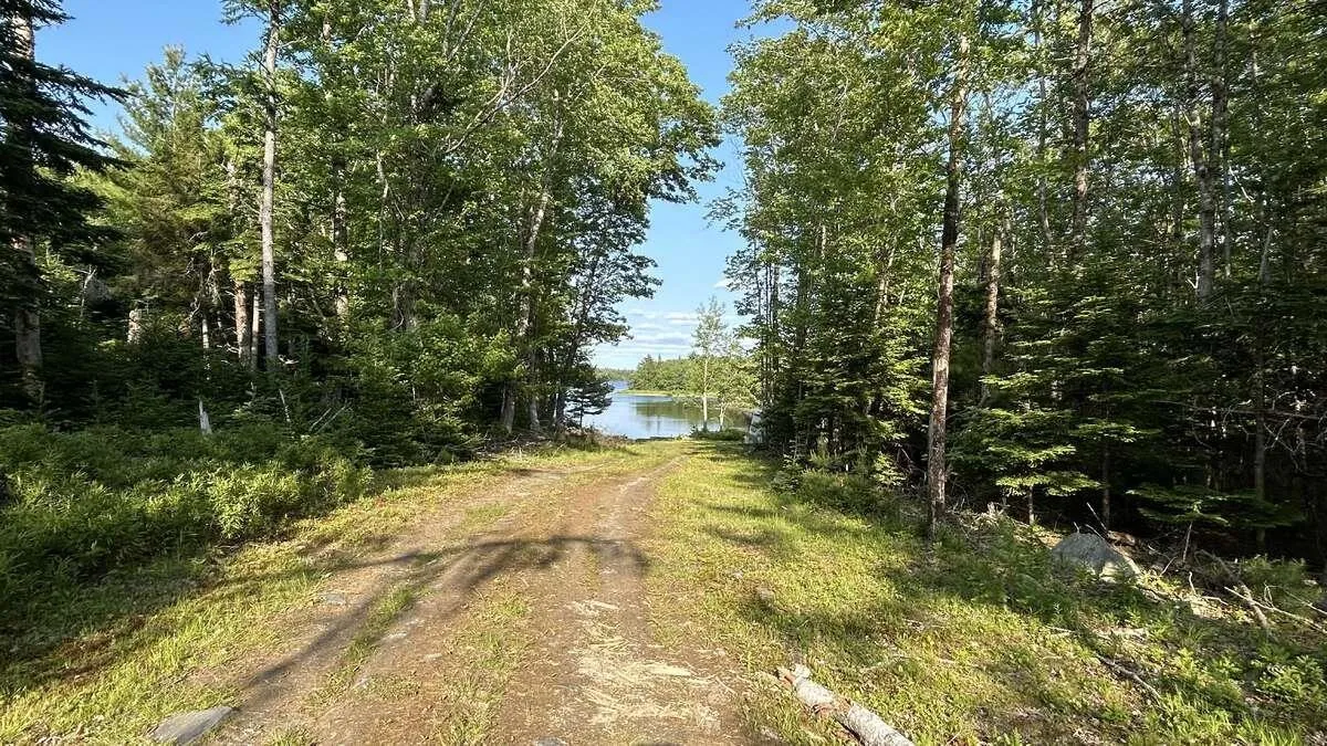 798 Coldstream Road, East Quinan, NS B0W 3M0, ,Land,For Sale,Coldstream,202520153