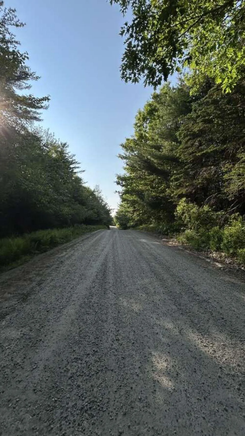 798 Coldstream Road, East Quinan, NS B0W 3M0, ,Land,For Sale,Coldstream,202520153