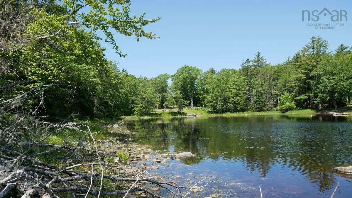 798 Coldstream Road, East Quinan, NS B0W 3M0, ,Land,For Sale,Coldstream,202520153