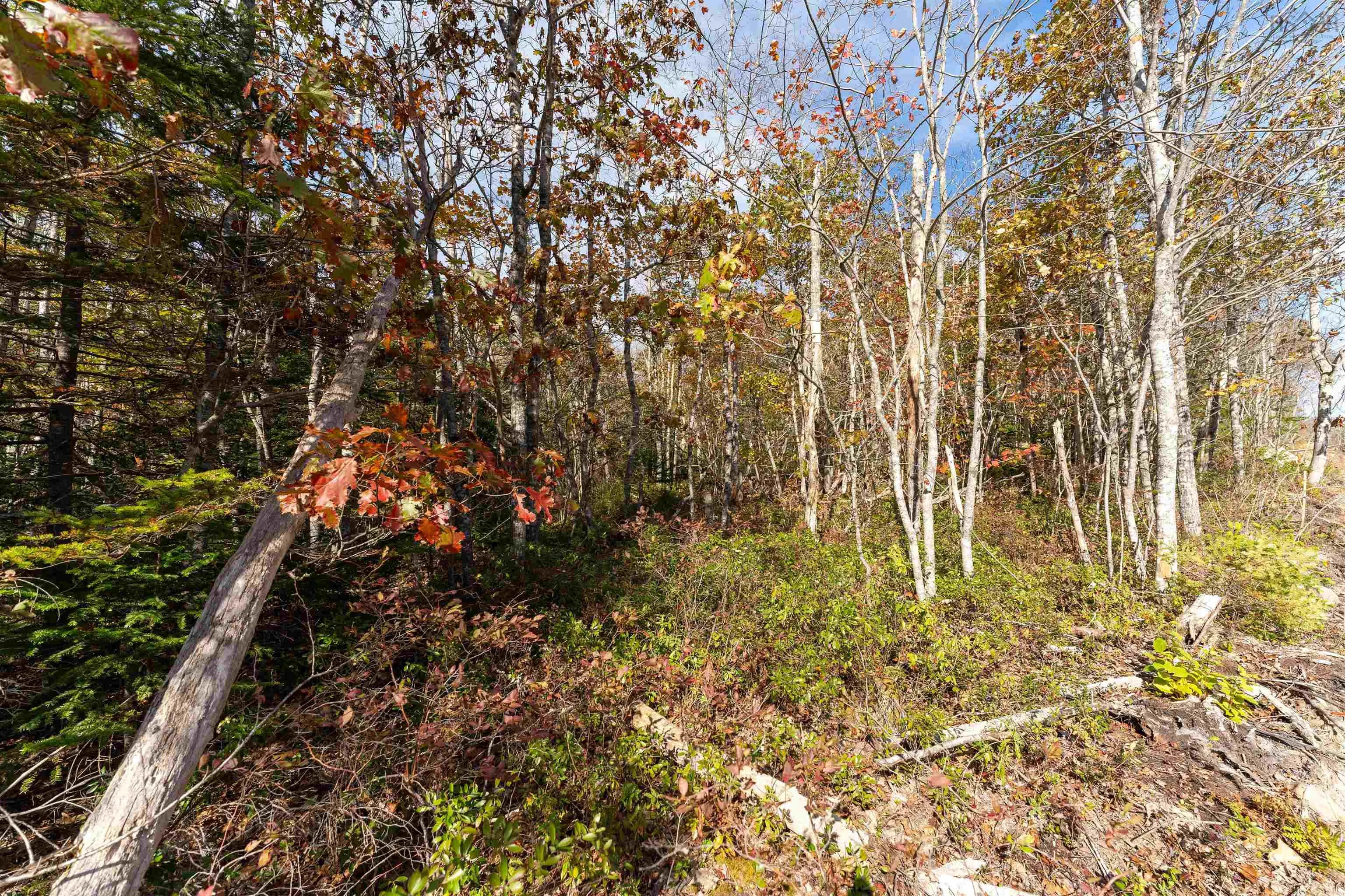 Morton Drive, Liverpool Ns B0t 1k0, ,Land,For Sale,Morton,202323387