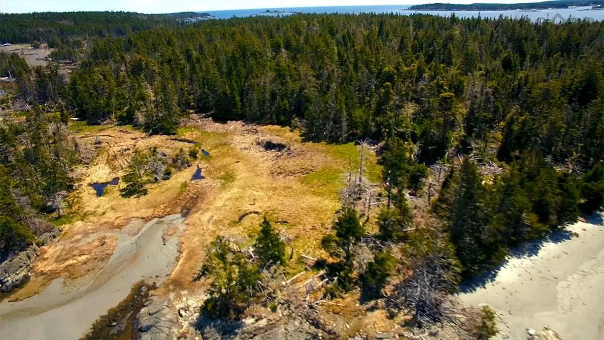 Moshers Island Road, Lahave Ns B0r 1c0, ,Land,For Sale,Moshers Island,202311257