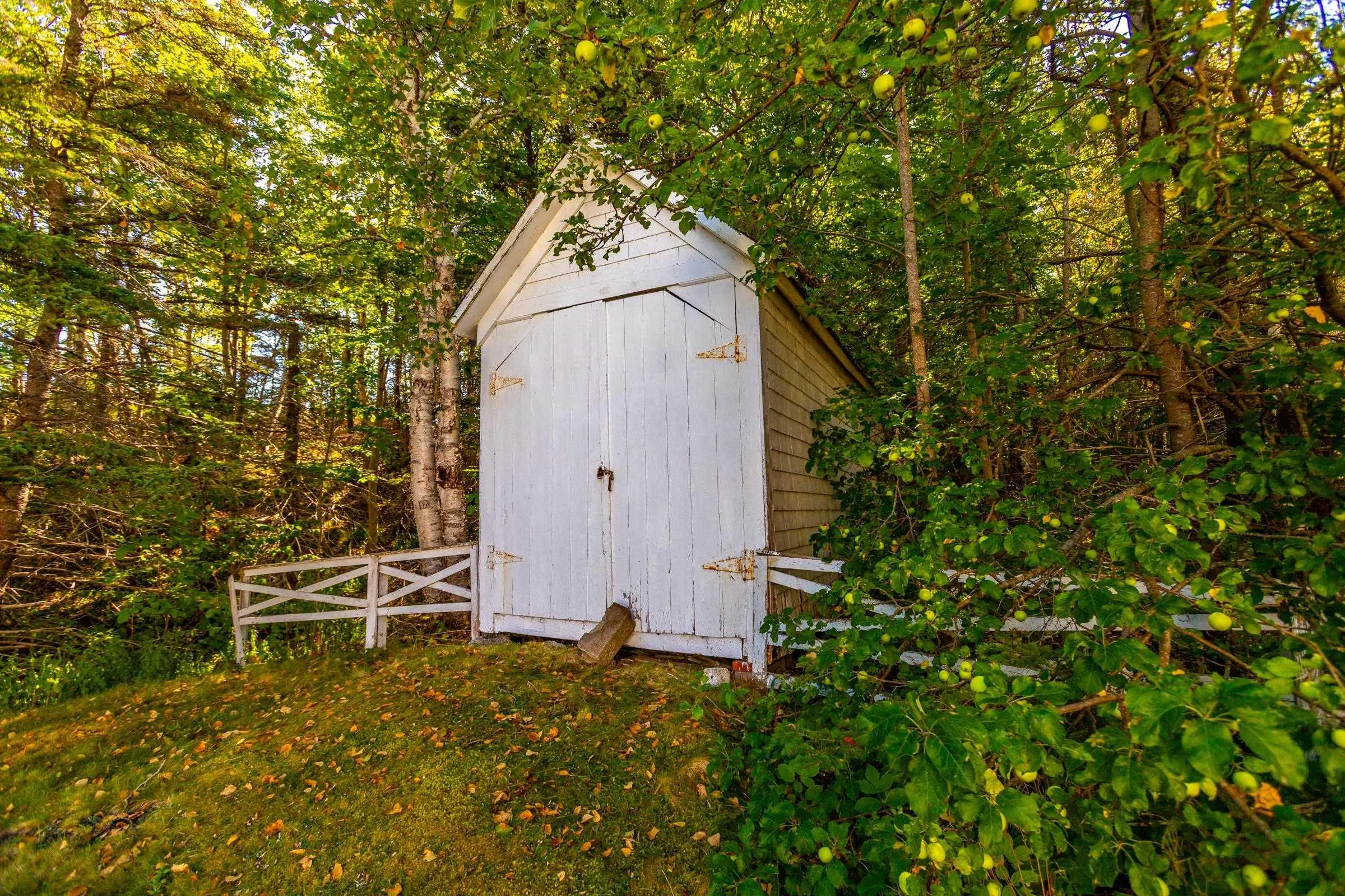 8210 Shore Road, Hampton, NS B0S 1L0, ,Residential,For Sale,Shore,202521900