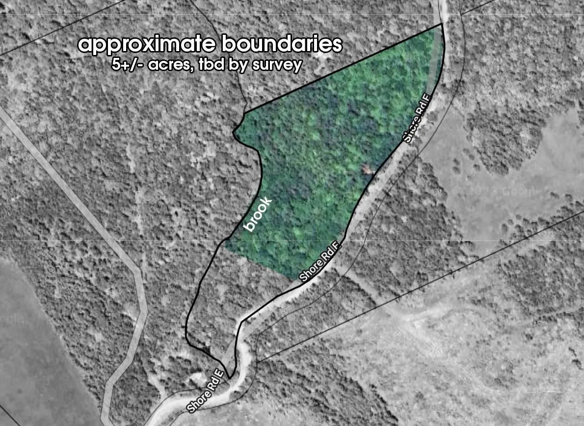 Lot Shore Road E, Mount Hanley, NS B0S 1P0, ,Land,For Sale,Shore,202523665