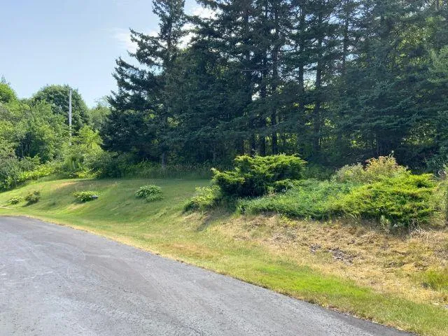 39 Falkland Lane, Guysborough, NS B0H 1N0, 4 Bedrooms Bedrooms, ,2 BathroomsBathrooms,Residential,For Sale,Falkland Lane,202519404