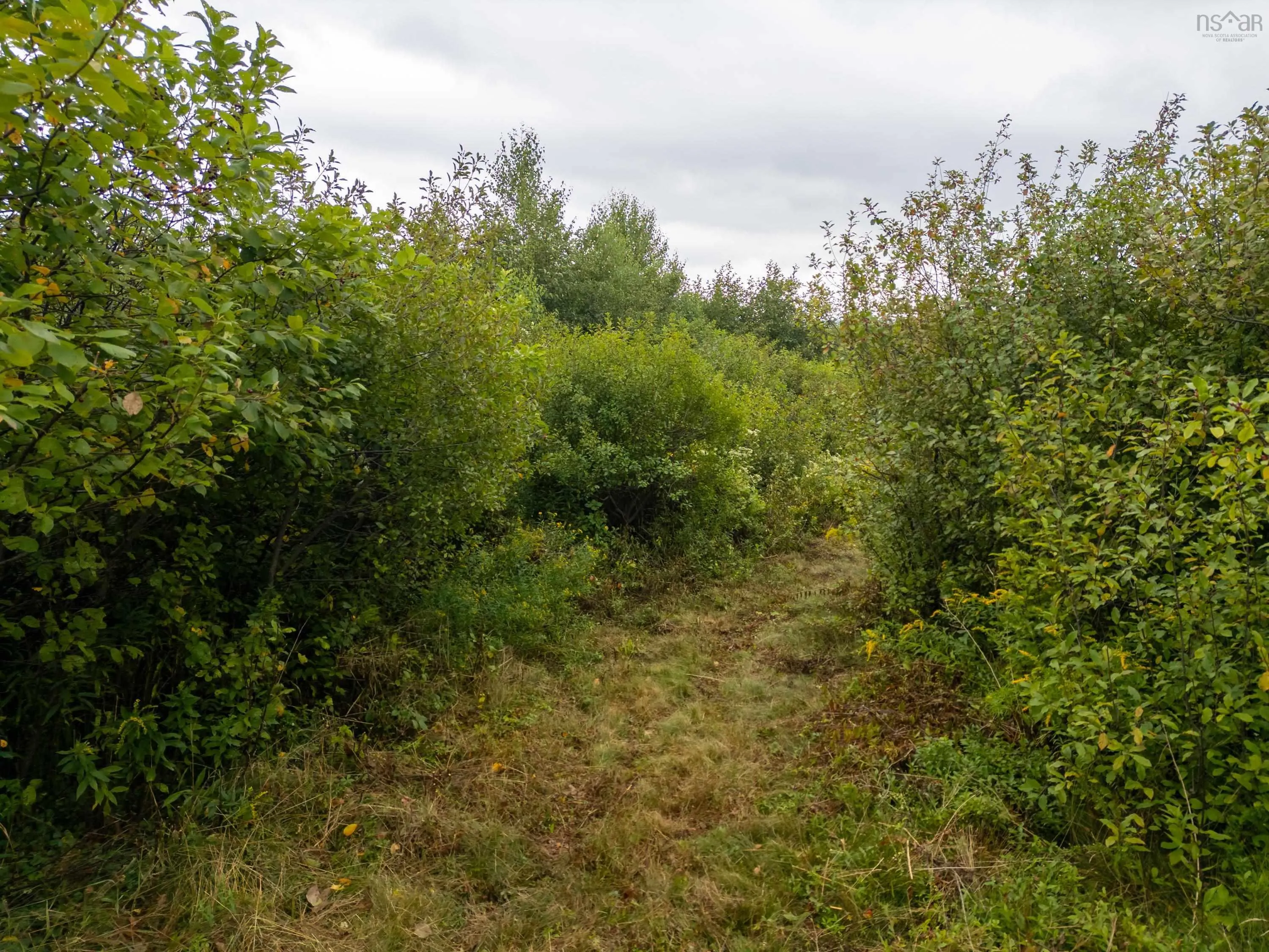 Vimy Road, North River, NS B2N 4K2, ,Land,For Sale,Vimy,202522082