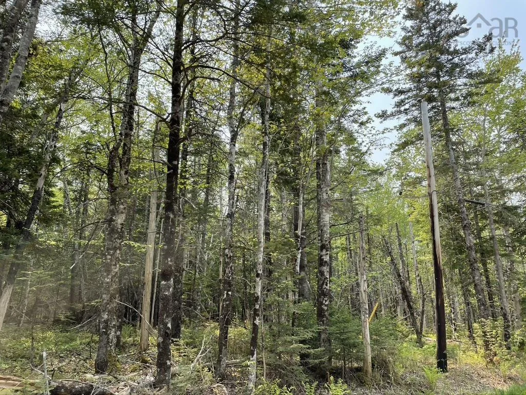 Beverly's Hill Road, Baddeck Inlet Ns B0e 1b0, ,Land,For Sale,Beverly's Hill,202414679