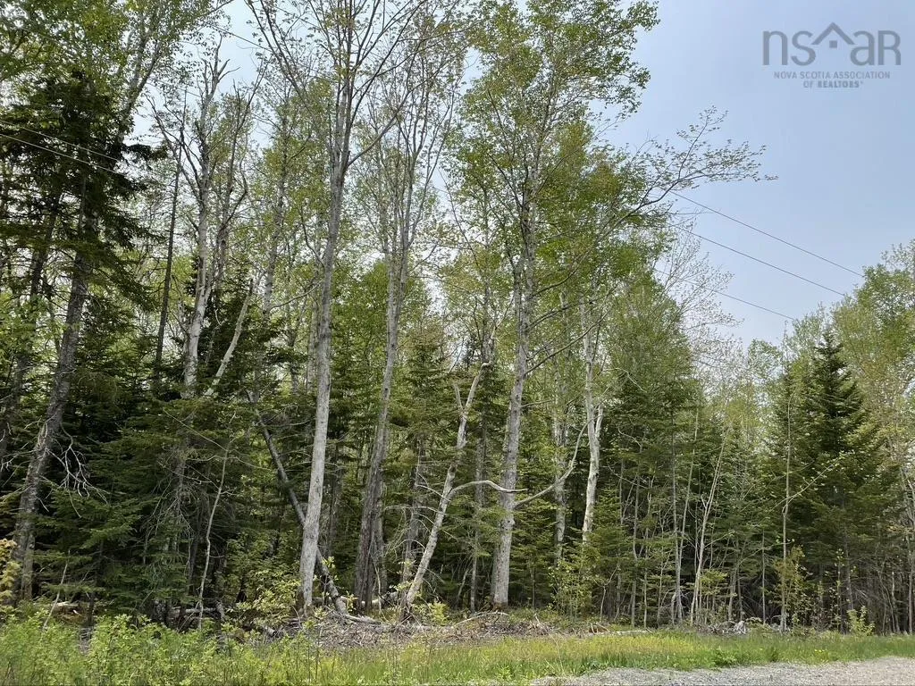 Beverly's Hill Road, Baddeck Inlet Ns B0e 1b0, ,Land,For Sale,Beverly's Hill,202414679