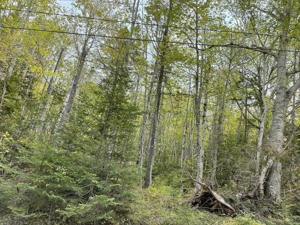 Beverly's Hill Road, Baddeck Inlet Ns B0e 1b0, ,Land,For Sale,Beverly's Hill,202414679
