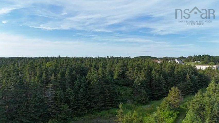 Highway 247 Lot 2, Lardoise, NS B0E 3B0, ,Land,For Sale,Highway 247,202517247