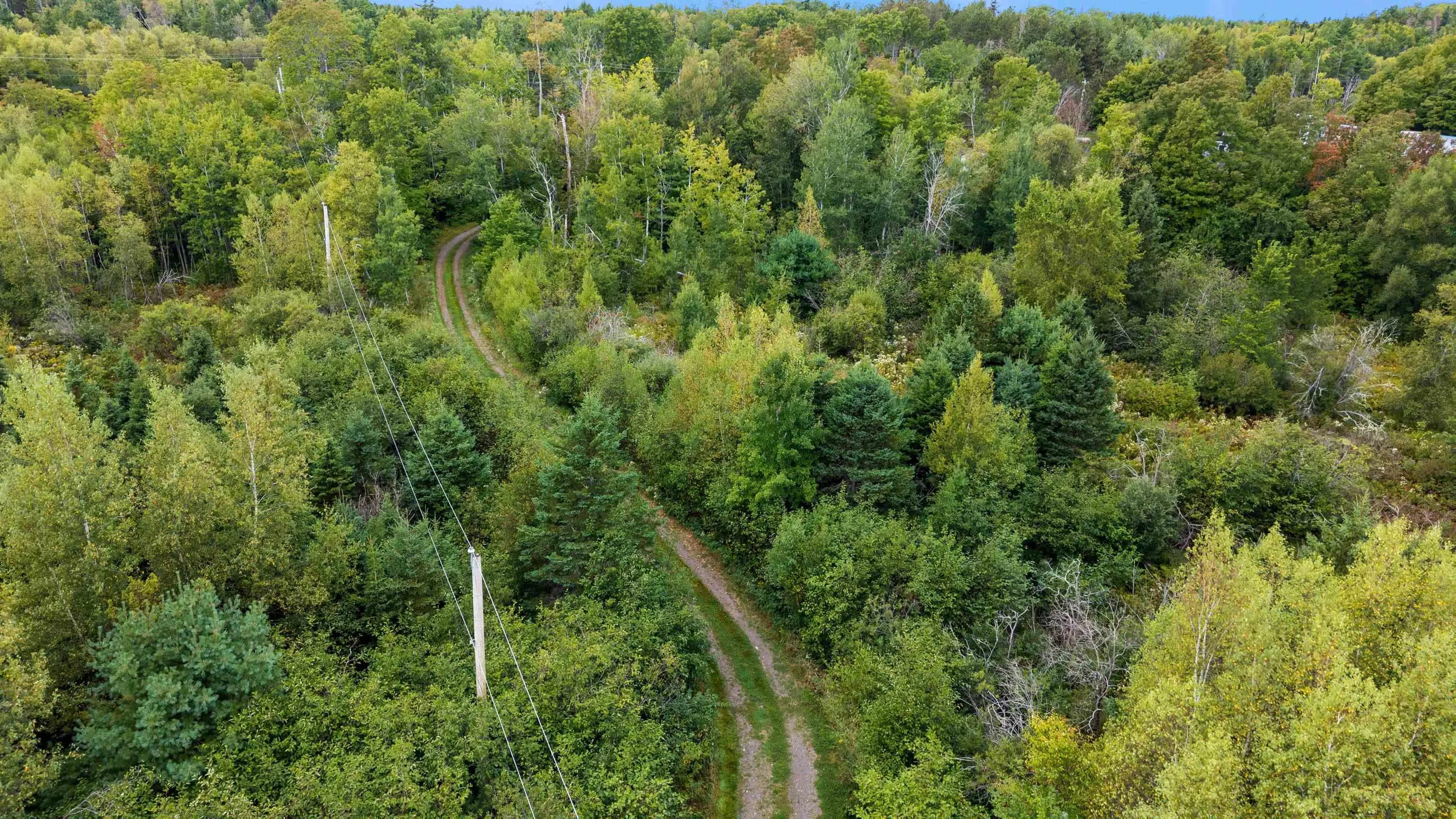 8208/8268 Highway 311, Balfron, NS B0K 1V0, 1 Bedroom Bedrooms, ,2 BathroomsBathrooms,Residential,For Sale,Highway 311,202525620
