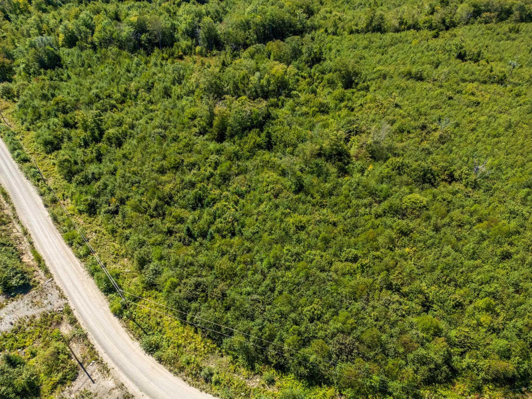 Lot 21-14 Second Division Road, Grosses Coques, NS B0W 2J0, ,Land,For Sale,Second Division Road,202522234
