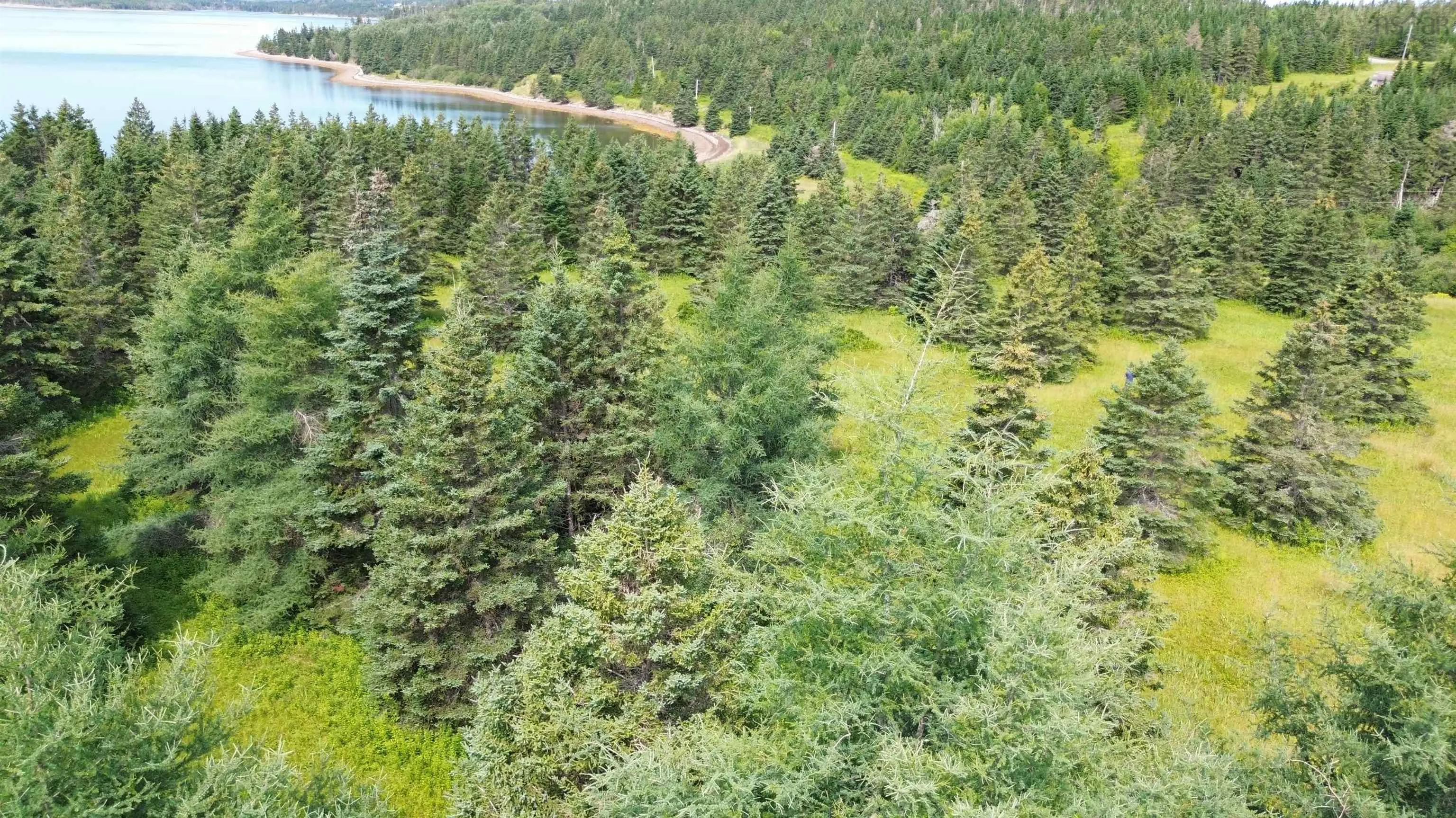 247 Highway, St. Peters, NS B0E 3B0, ,Land,For Sale,247,202501954