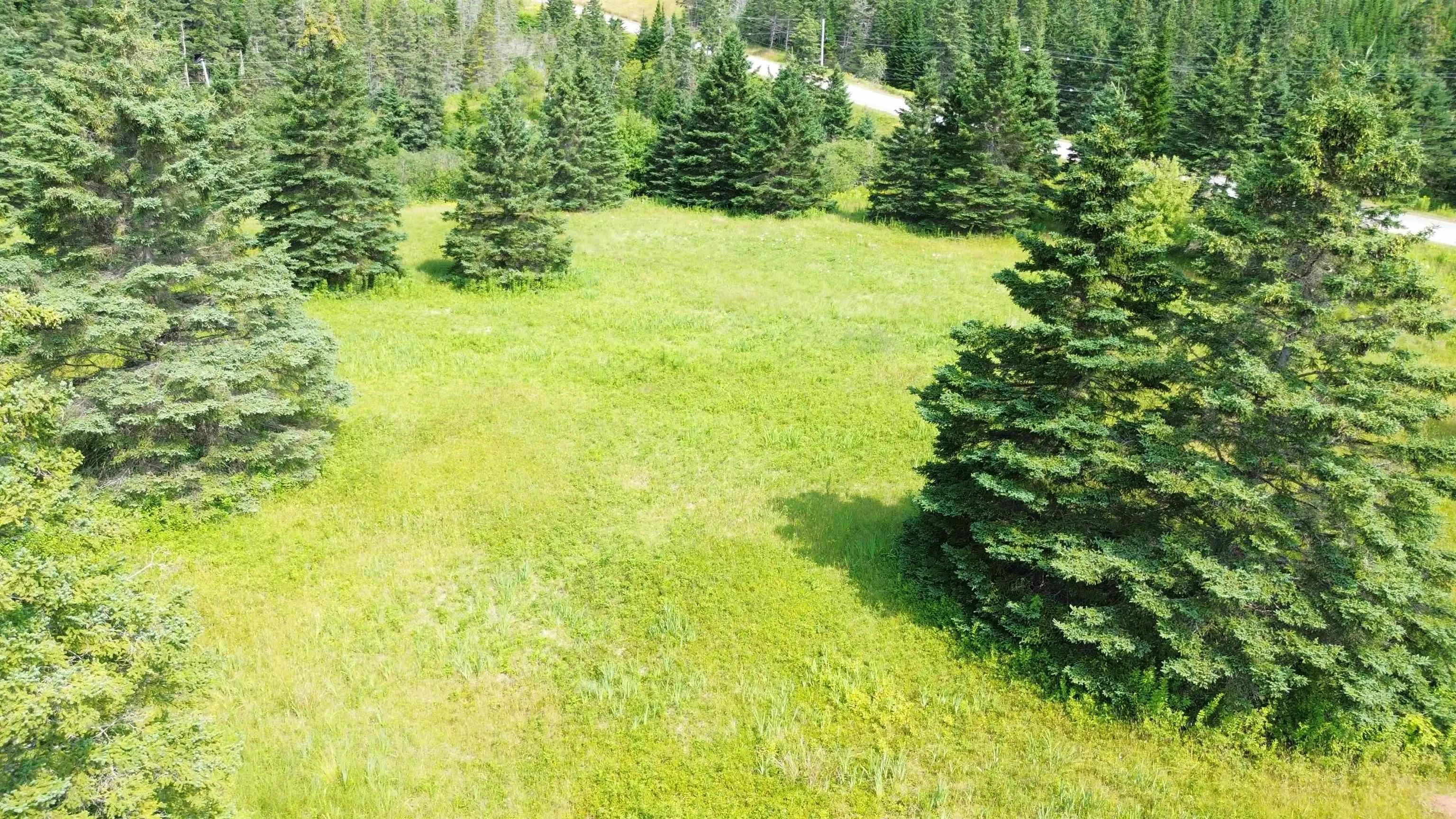 247 Highway, St. Peters, NS B0E 3B0, ,Land,For Sale,247,202501954