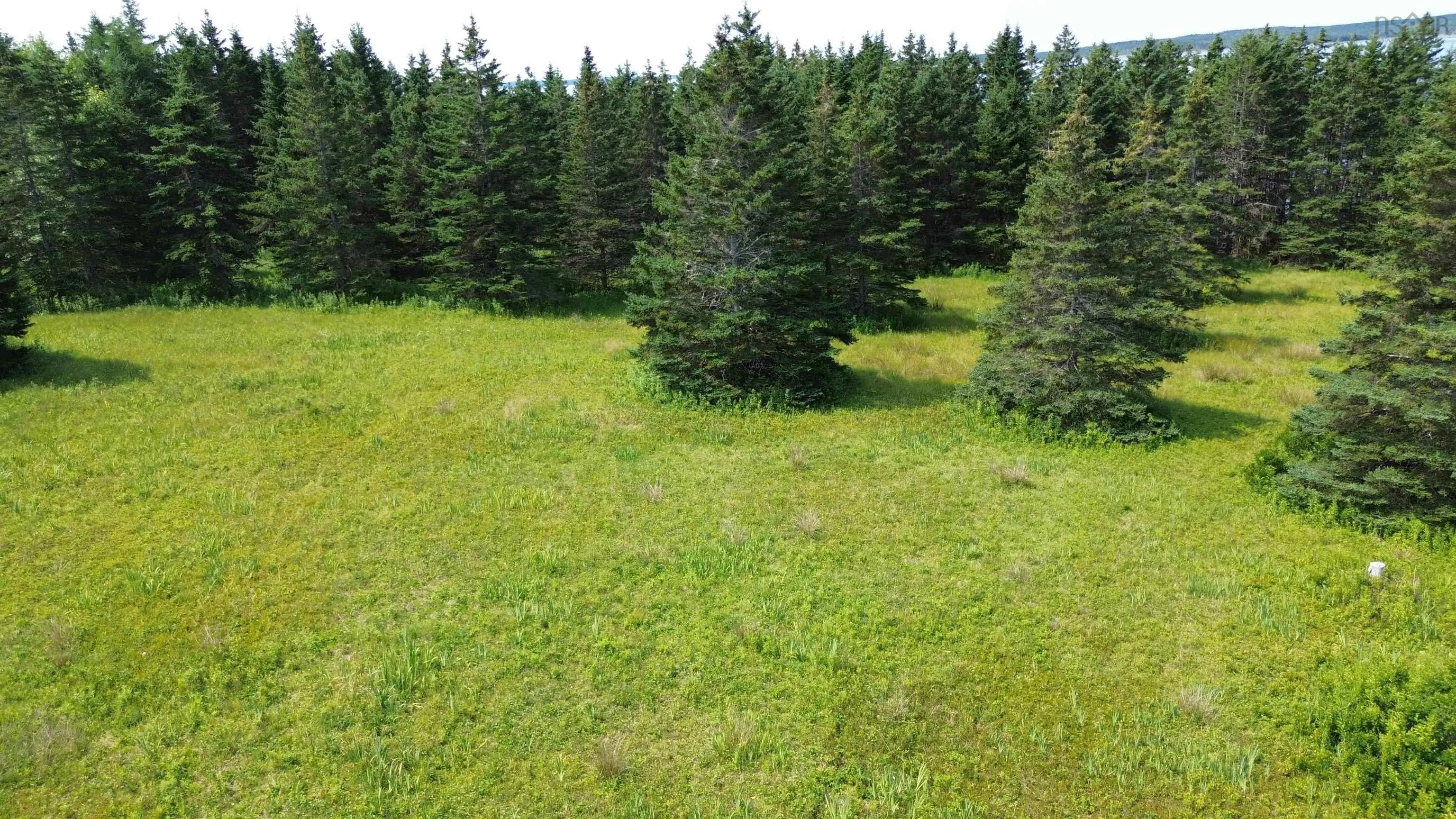247 Highway, St. Peters, NS B0E 3B0, ,Land,For Sale,247,202501954