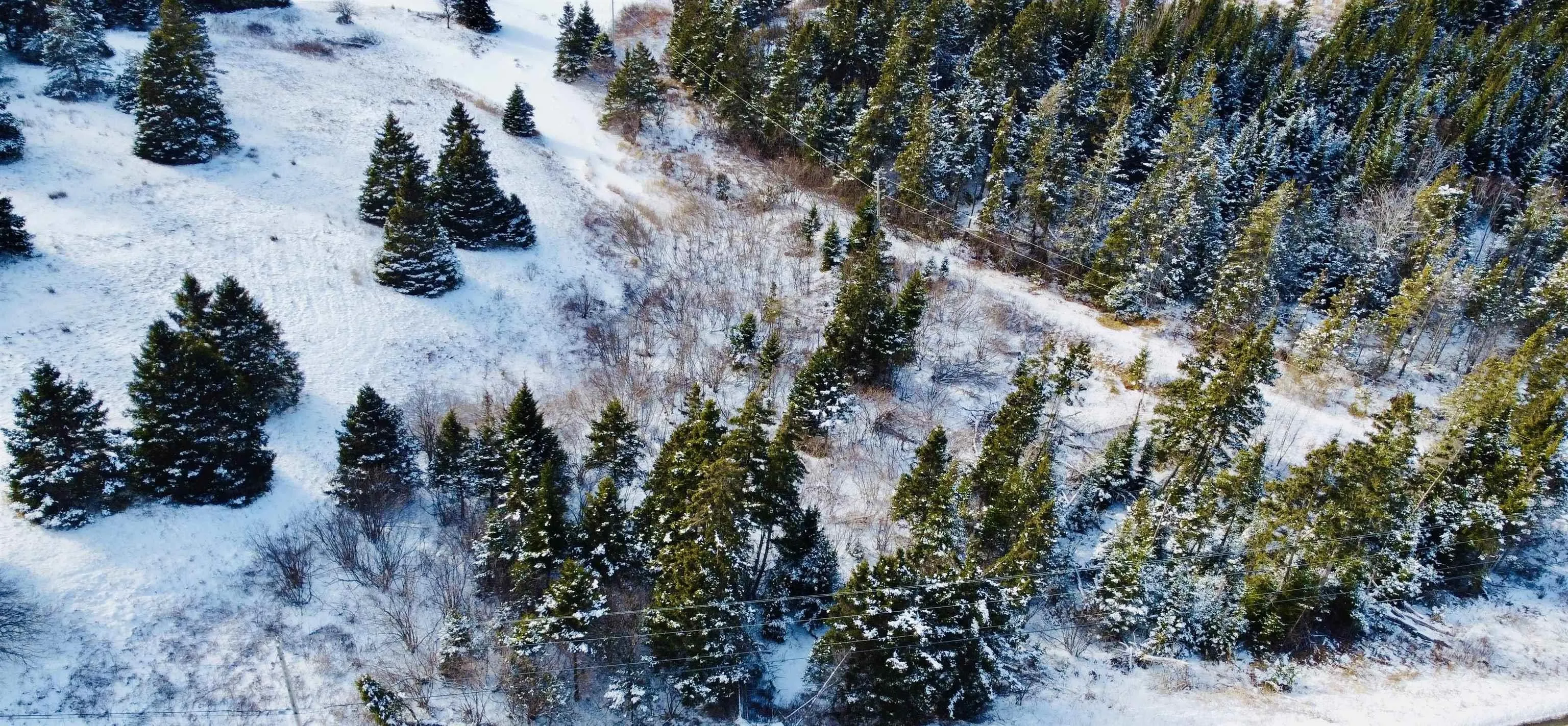 247 Highway, St. Peters, NS B0E 3B0, ,Land,For Sale,247,202501954