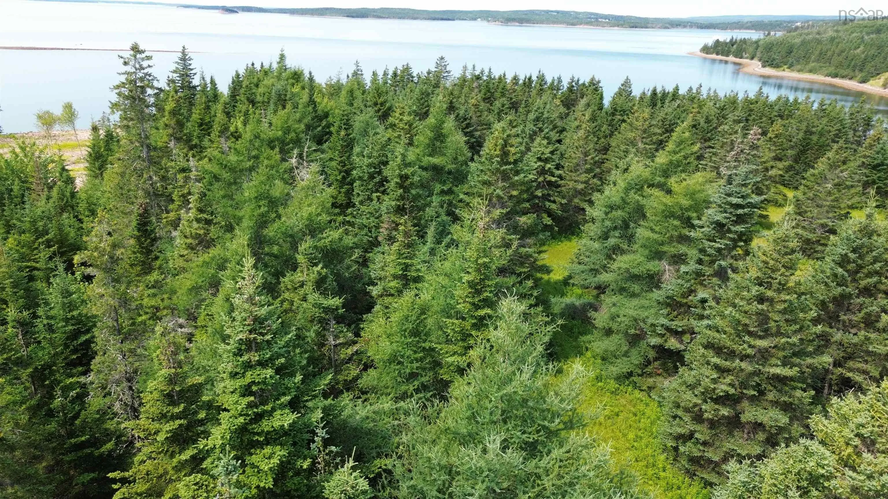 247 Highway, St. Peters, NS B0E 3B0, ,Land,For Sale,247,202501954