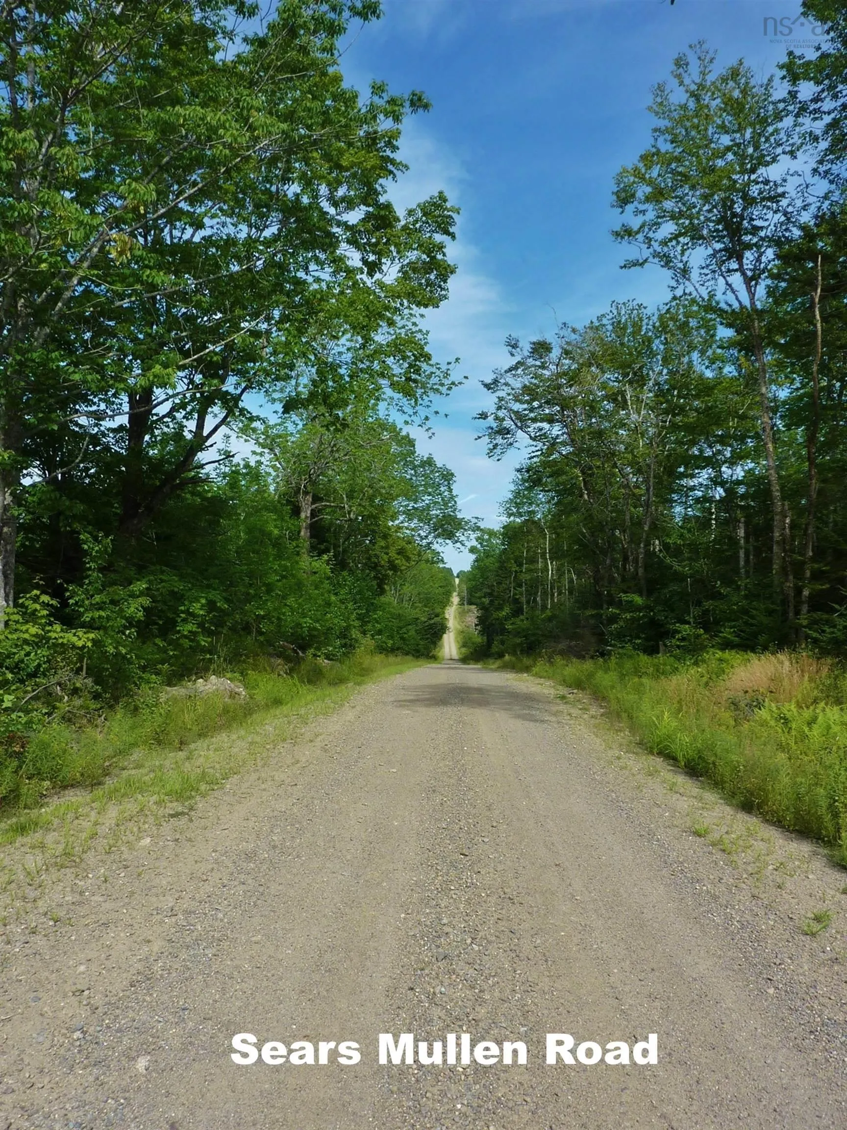 585 Sears Mullen Road, New Tusket Ns B0w 3t0, ,Land,For Sale,Sears Mullen,202505740