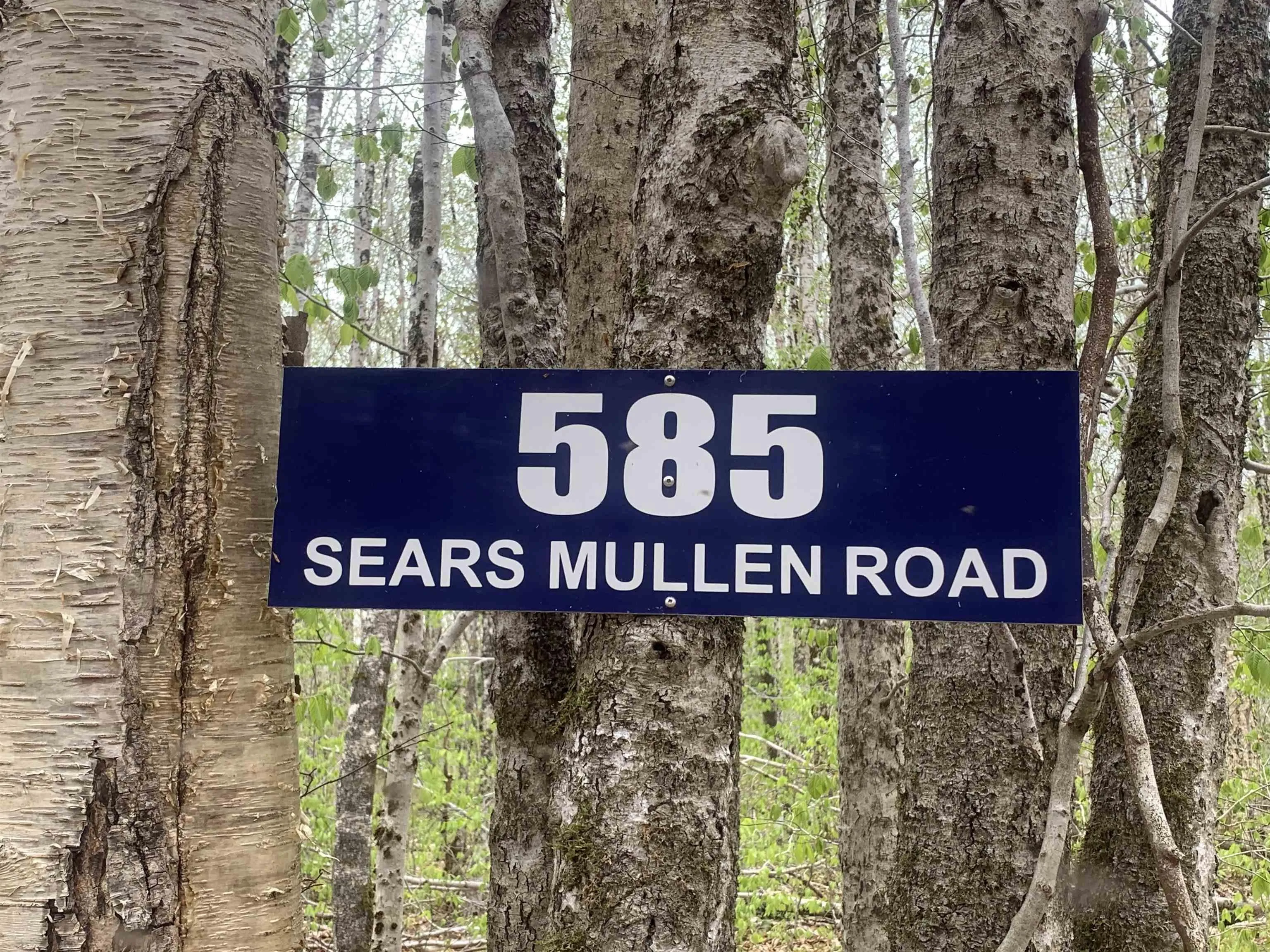 585 Sears Mullen Road, New Tusket Ns B0w 3t0, ,Land,For Sale,Sears Mullen,202505740
