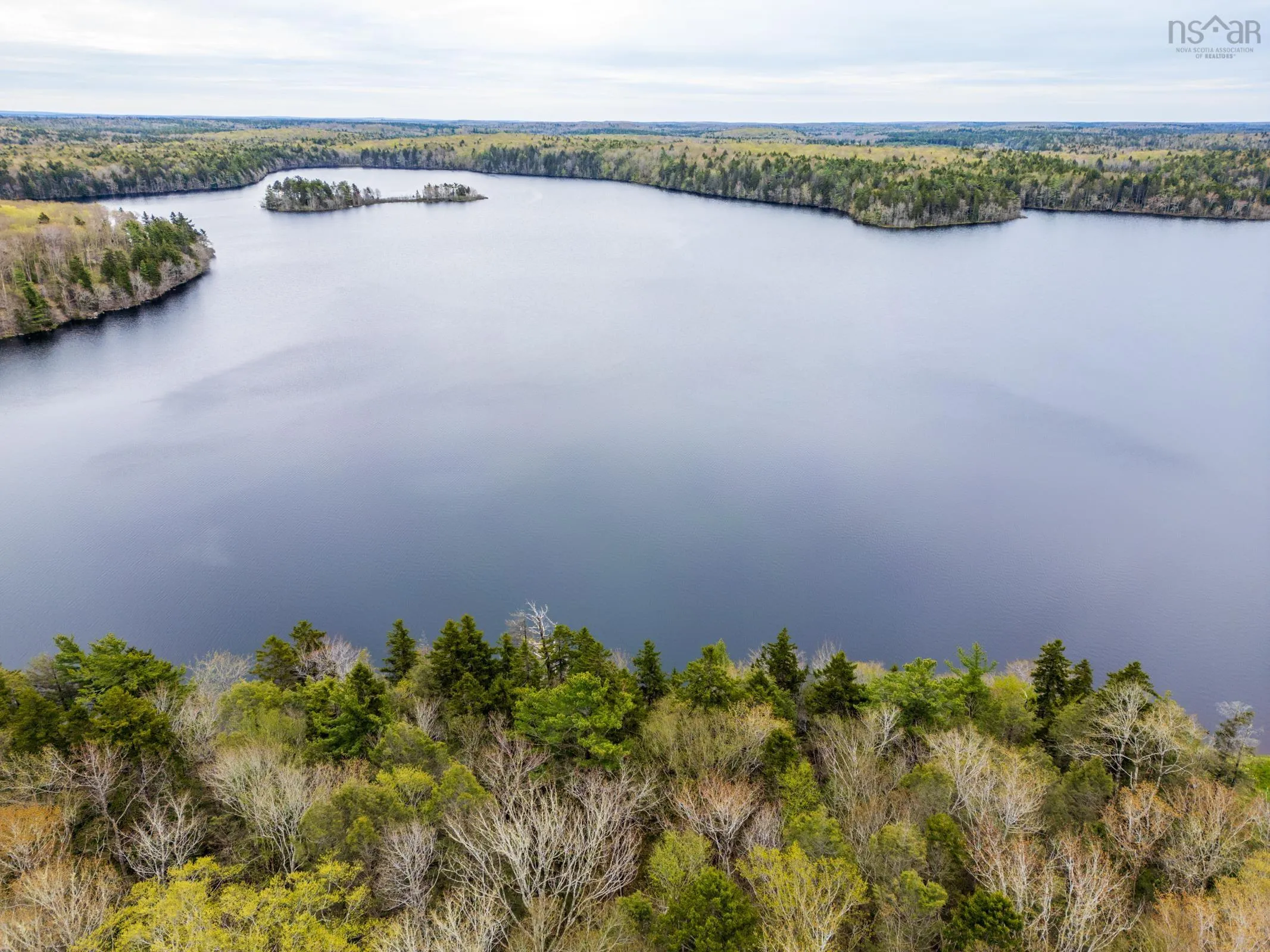 585 Sears Mullen Road, New Tusket Ns B0w 3t0, ,Land,For Sale,Sears Mullen,202505740