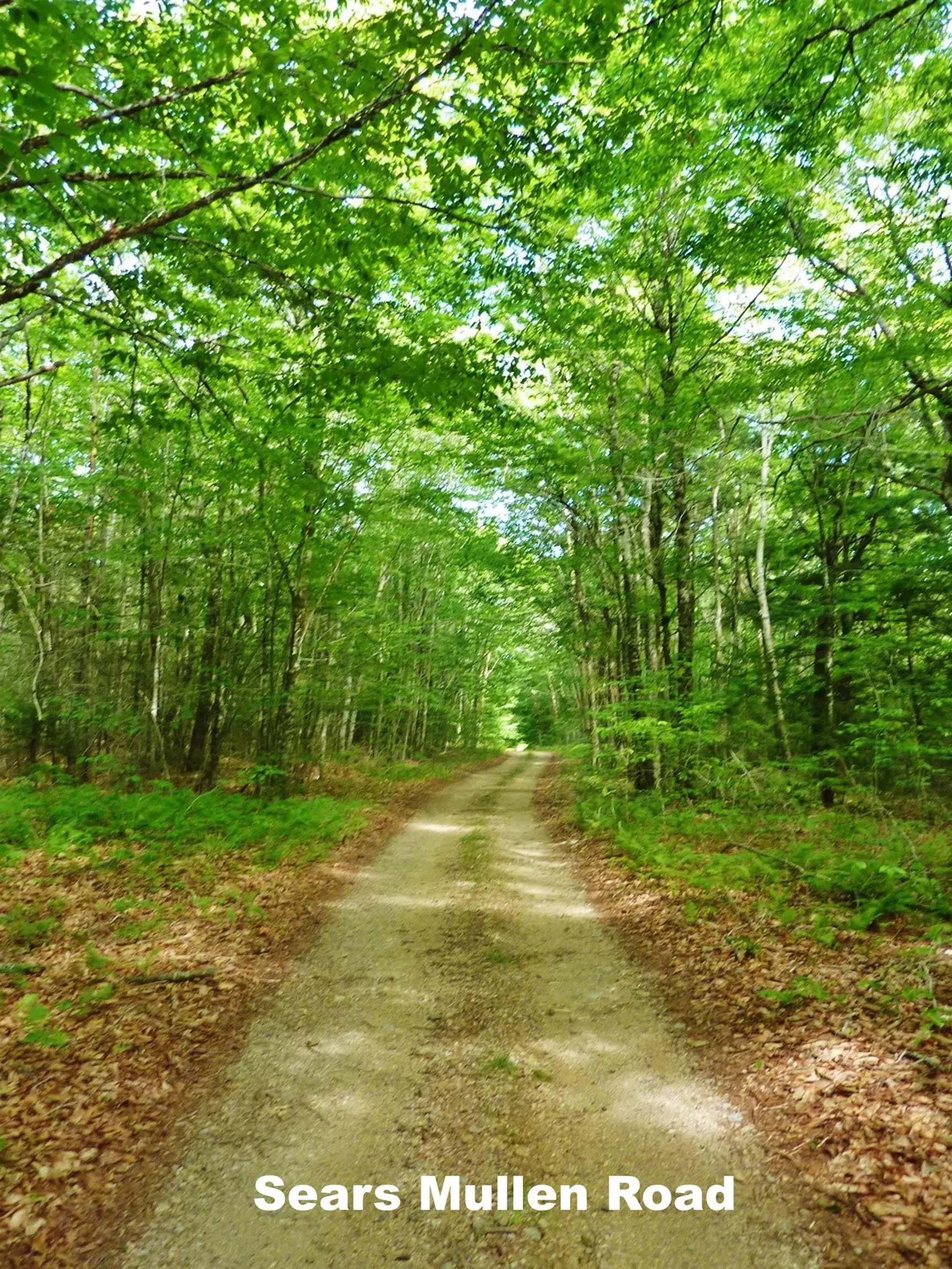 585 Sears Mullen Road, New Tusket Ns B0w 3t0, ,Land,For Sale,Sears Mullen,202505740