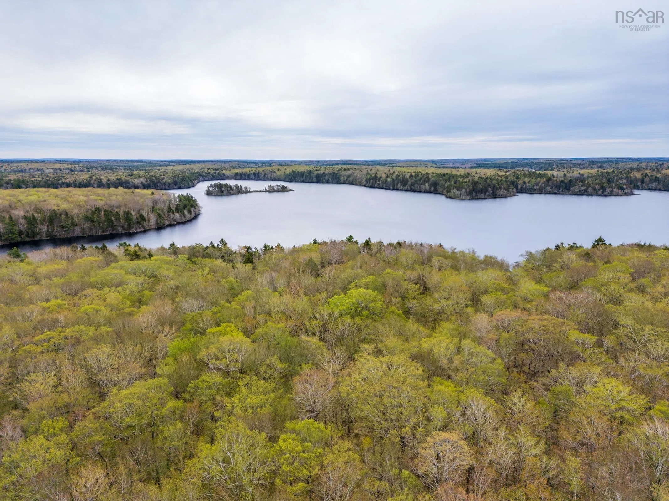 585 Sears Mullen Road, New Tusket Ns B0w 3t0, ,Land,For Sale,Sears Mullen,202505740