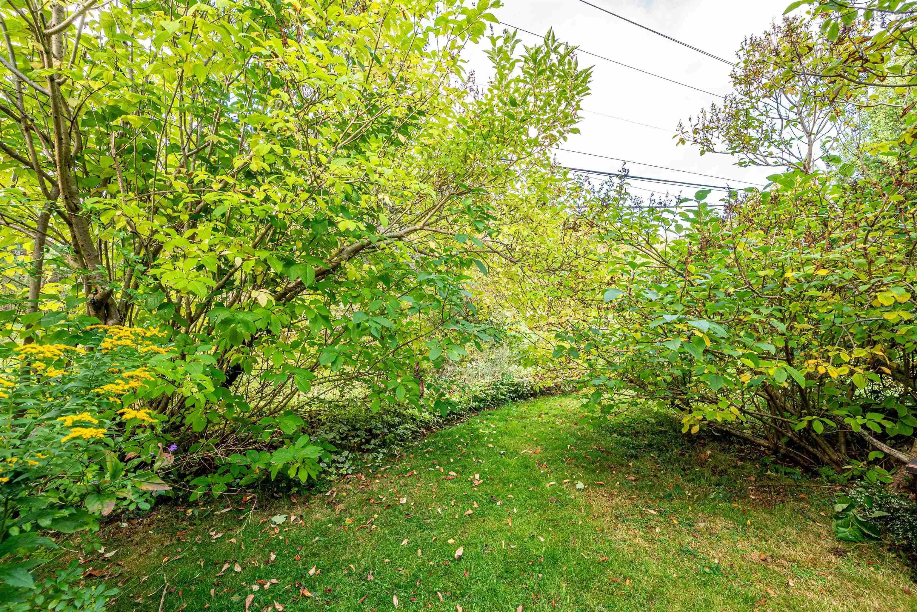 28 Hanover Court, Halifax, NS B3M 3K6, 3 Bedrooms Bedrooms, ,3 BathroomsBathrooms,Residential,For Sale,Hanover,202525064