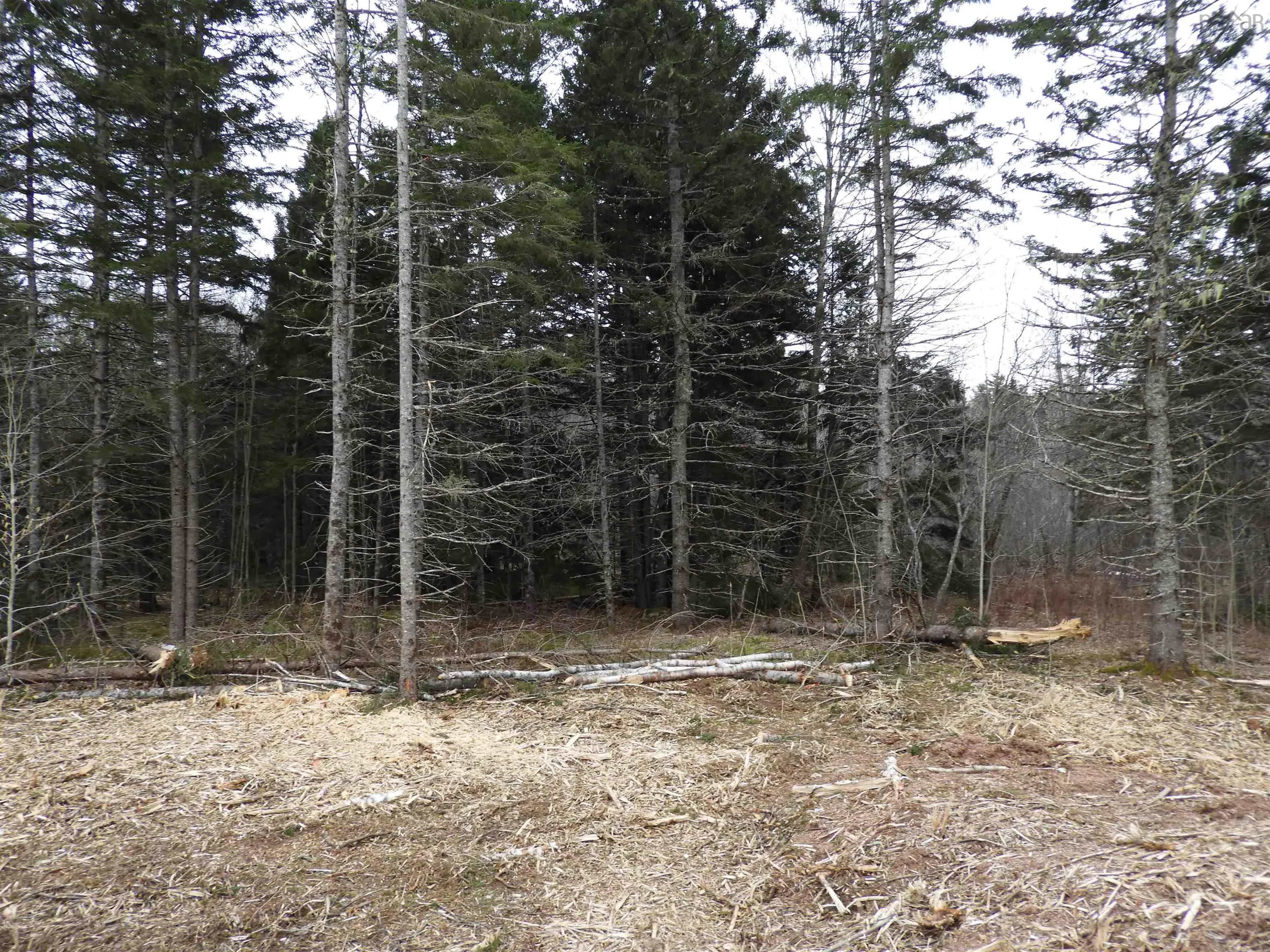 New Russell Road, New Russell Ns B0j 2m0, ,Land,For Sale,New Russell,202506871