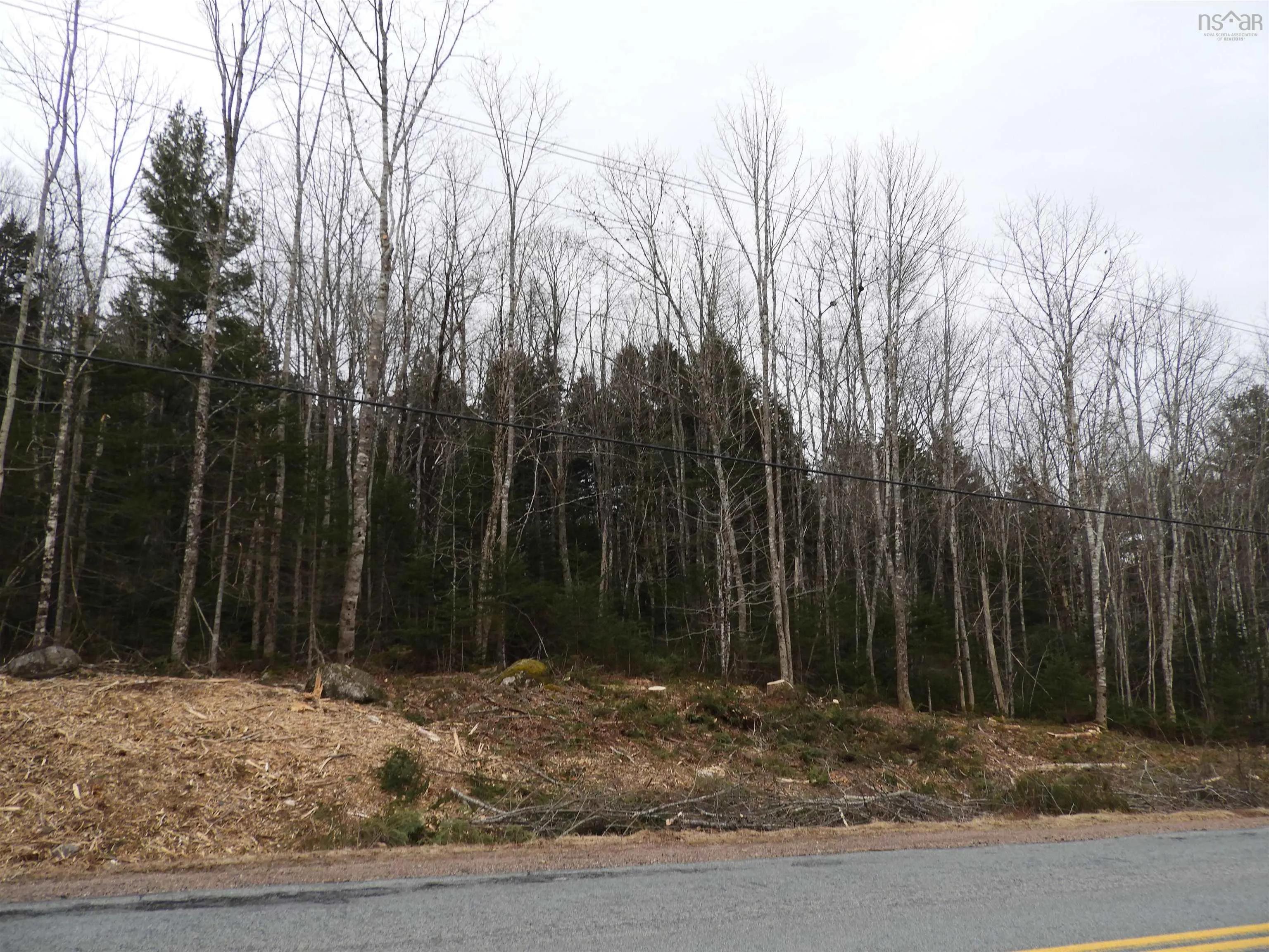 New Russell Road, New Russell Ns B0j 2m0, ,Land,For Sale,New Russell,202506871