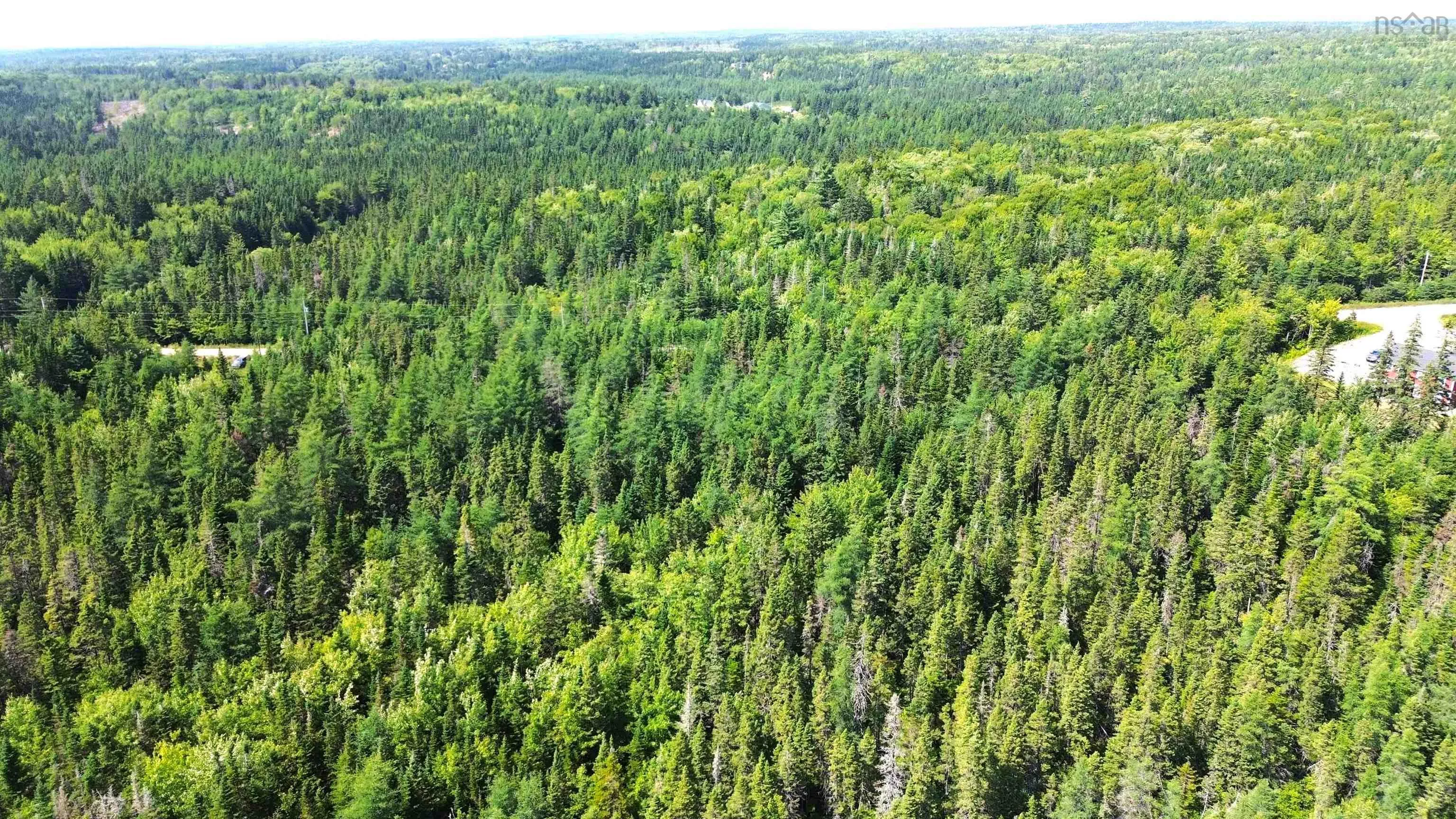 Lot 54 Highway 4, Cleveland, NS B0E 1J0, ,Land,For Sale,Highway 4, Kempt Road,202519191