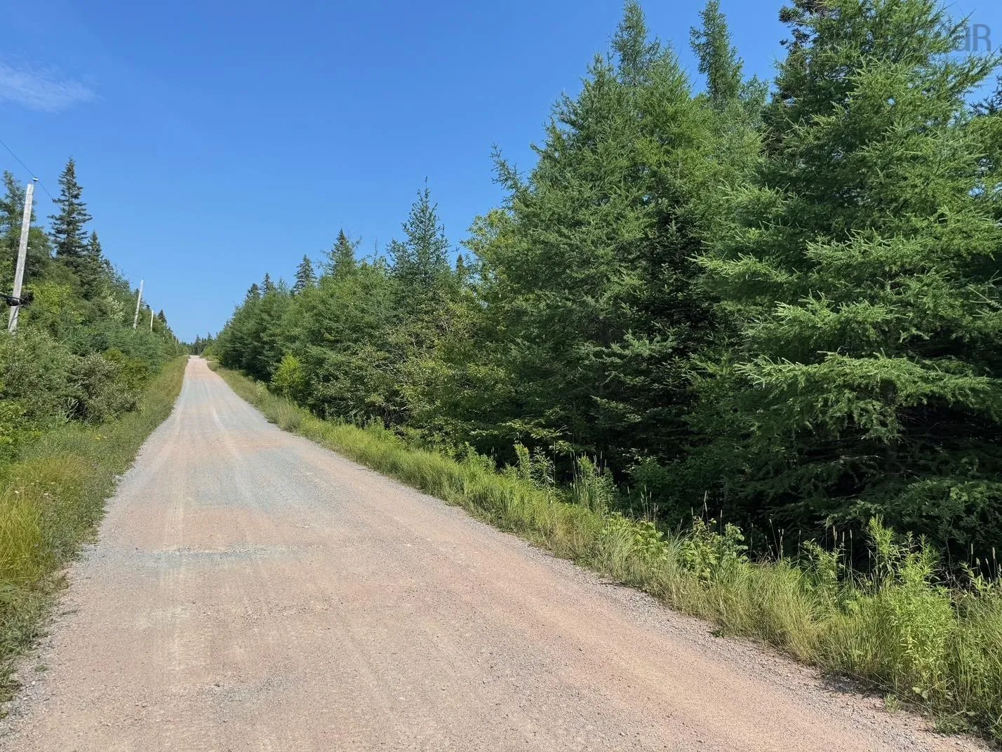 Lot 54 Highway 4, Cleveland, NS B0E 1J0, ,Land,For Sale,Highway 4, Kempt Road,202519191